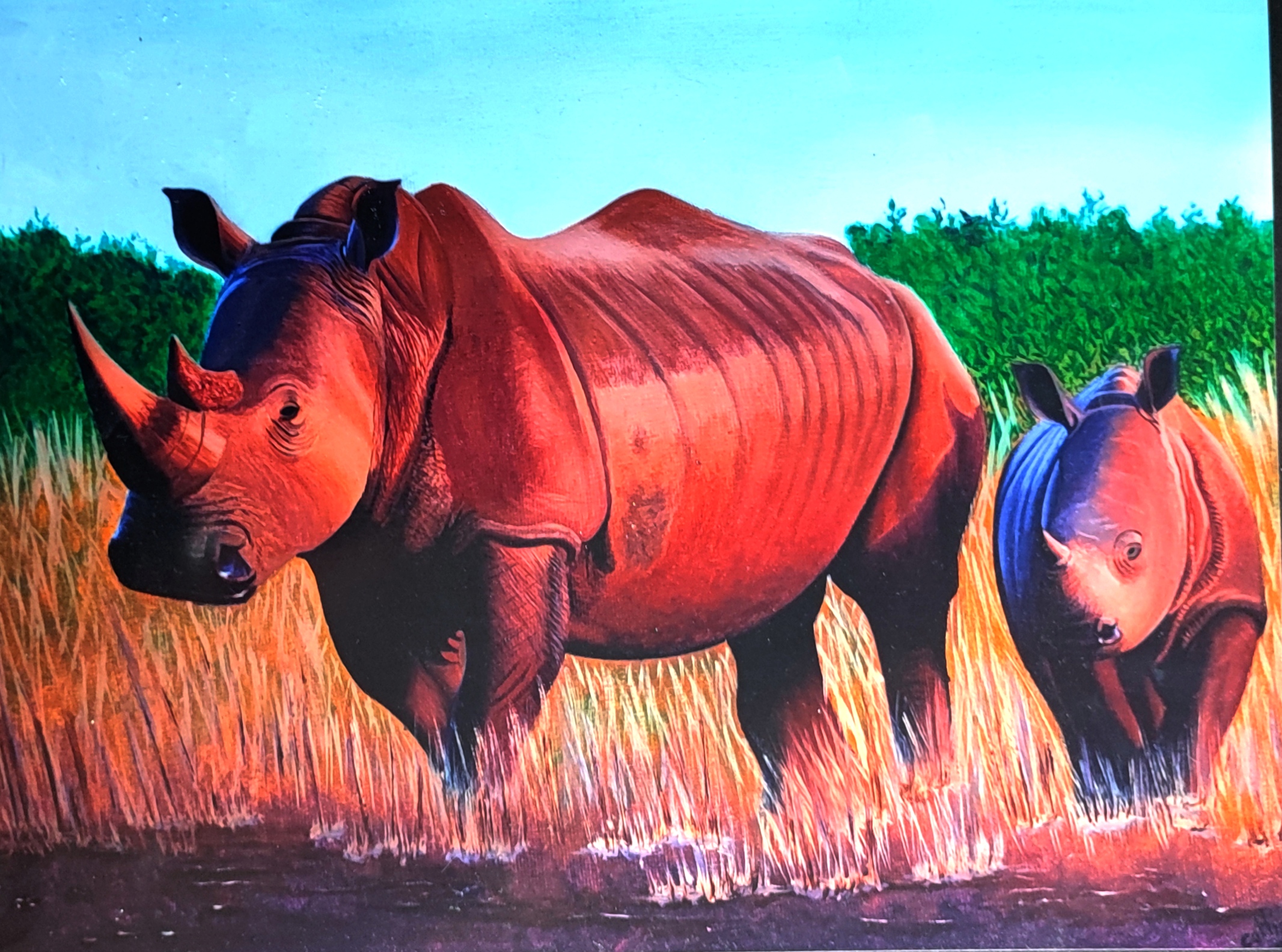 Reproduction encadrée d'après la toile originale " Rhinocéros d'Afrique du Sud" 20X30cm