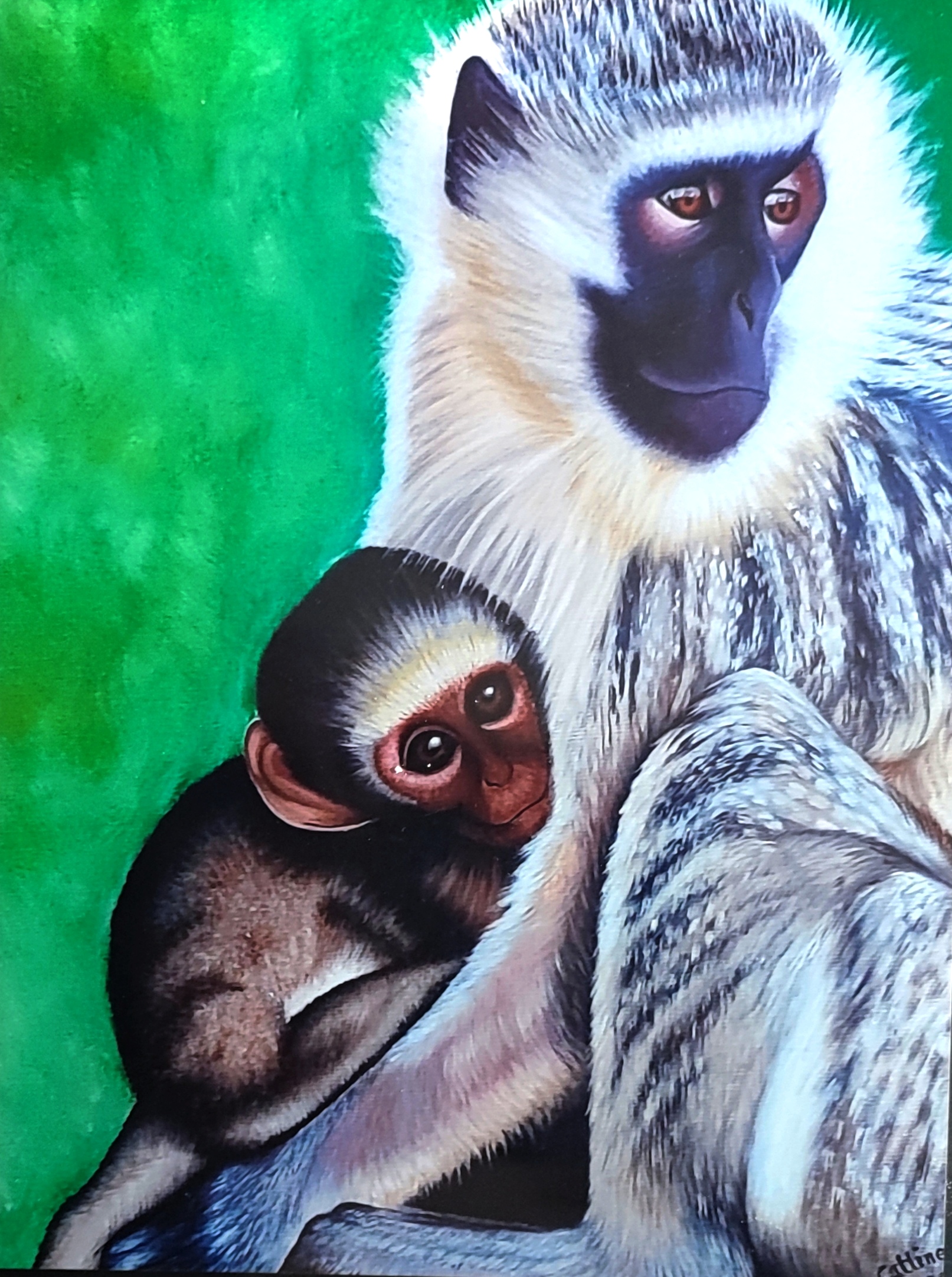 Reproduction encadrée d'après la toile originale " Singe Vervet Bleu et son Bébé" 20X30cm