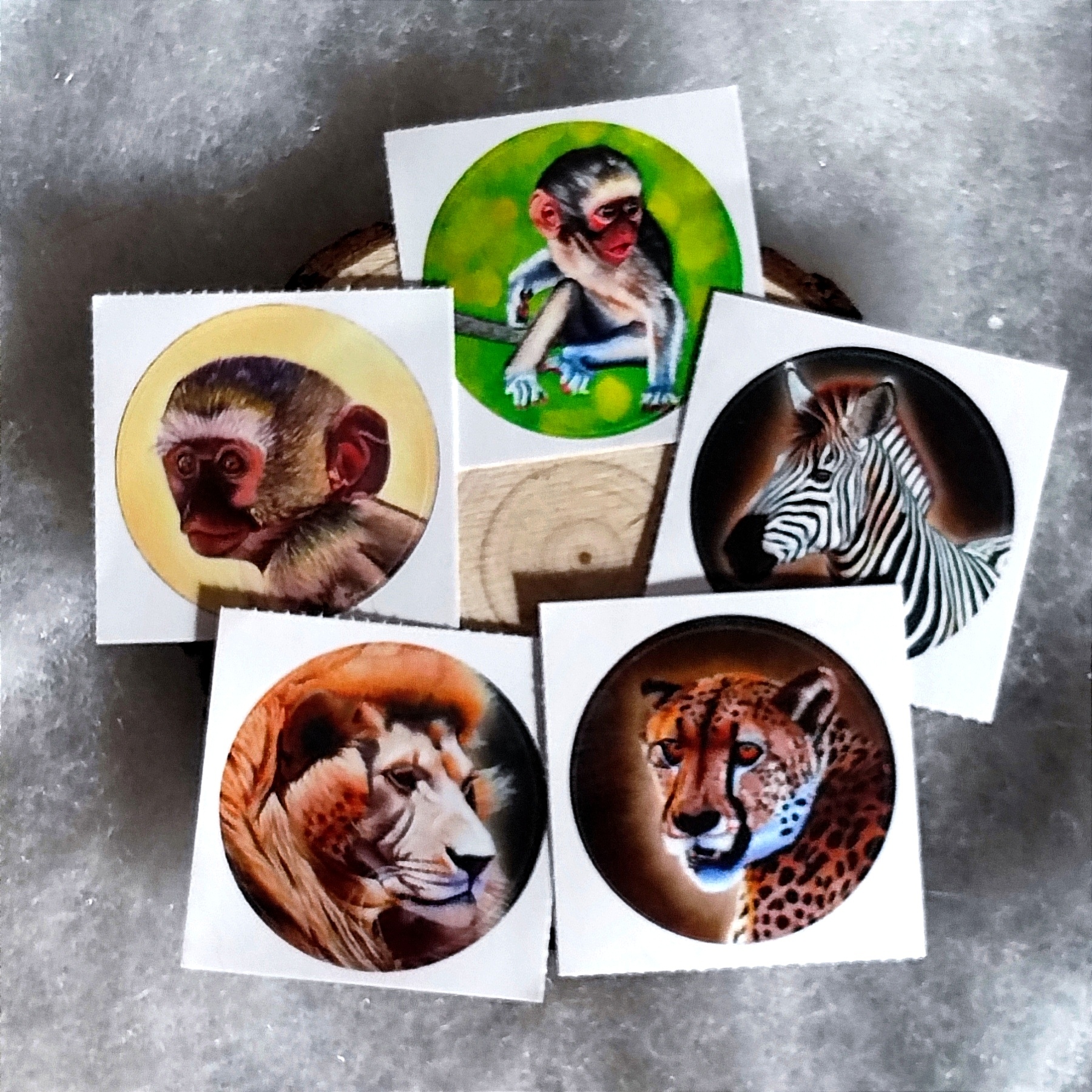Lot de 5 stickers d'après mes toiles originales singes, lion , guépard et zèbre