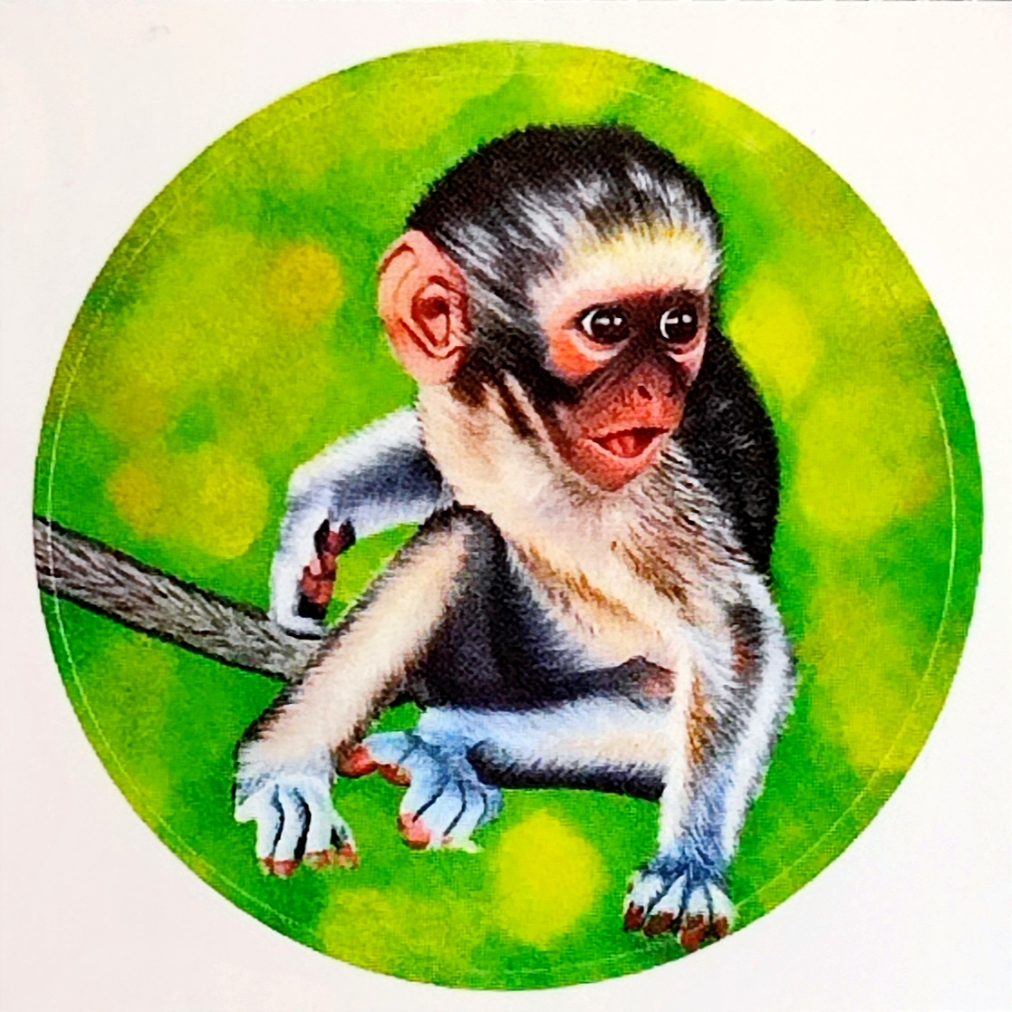 Lot de 5 stickers d'après mes toiles originales singes, lion , guépard et zèbre 