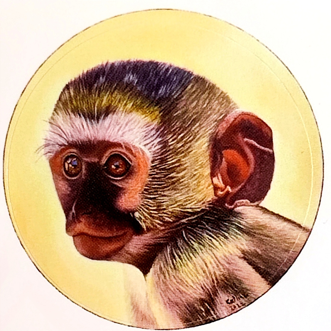 Lot de 5 stickers d'après mes toiles originales singes, lion , guépard et zèbre 