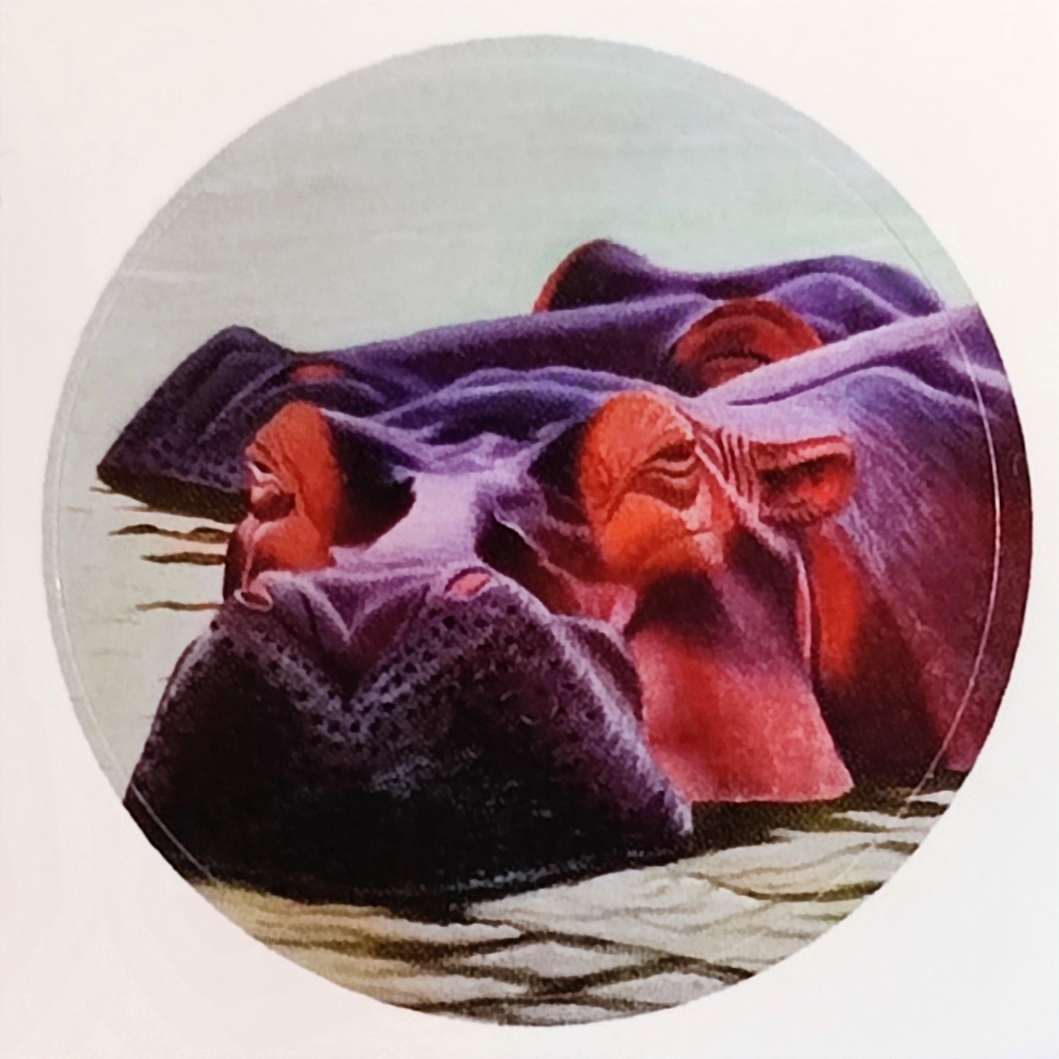 Lot de 5 stickers d'après mes toiles originales poisson, tortue, hippopotames et éléphant 