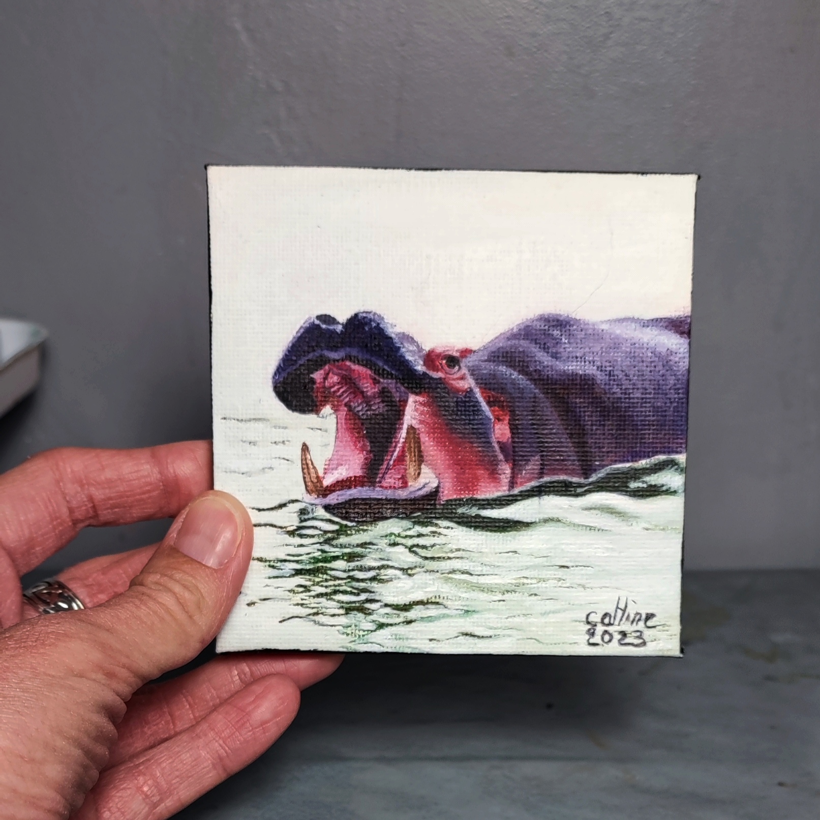 Mini toile 10X10cm Hippopotames d'Afrique du Sud 