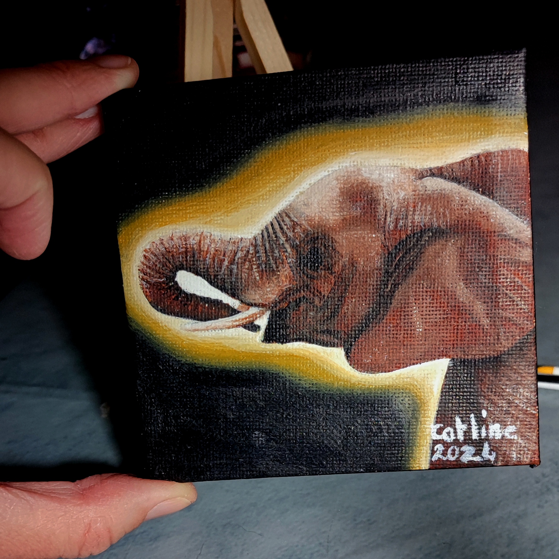 Mini toile 10X10cm bébé éléphant d'Afrique du Sud 