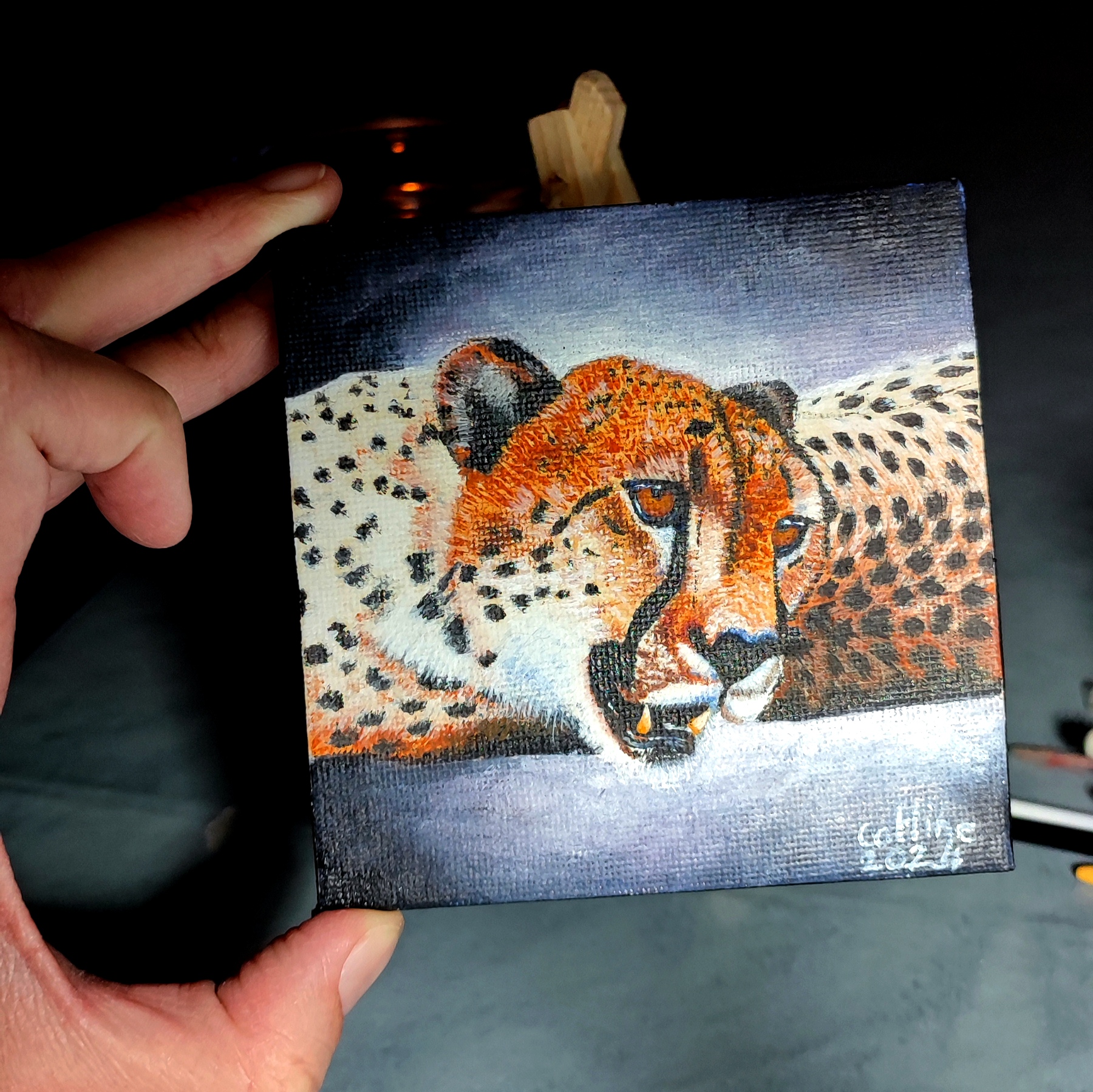 Mini toile 10X10cm Guépard d'Afrique du Sud 