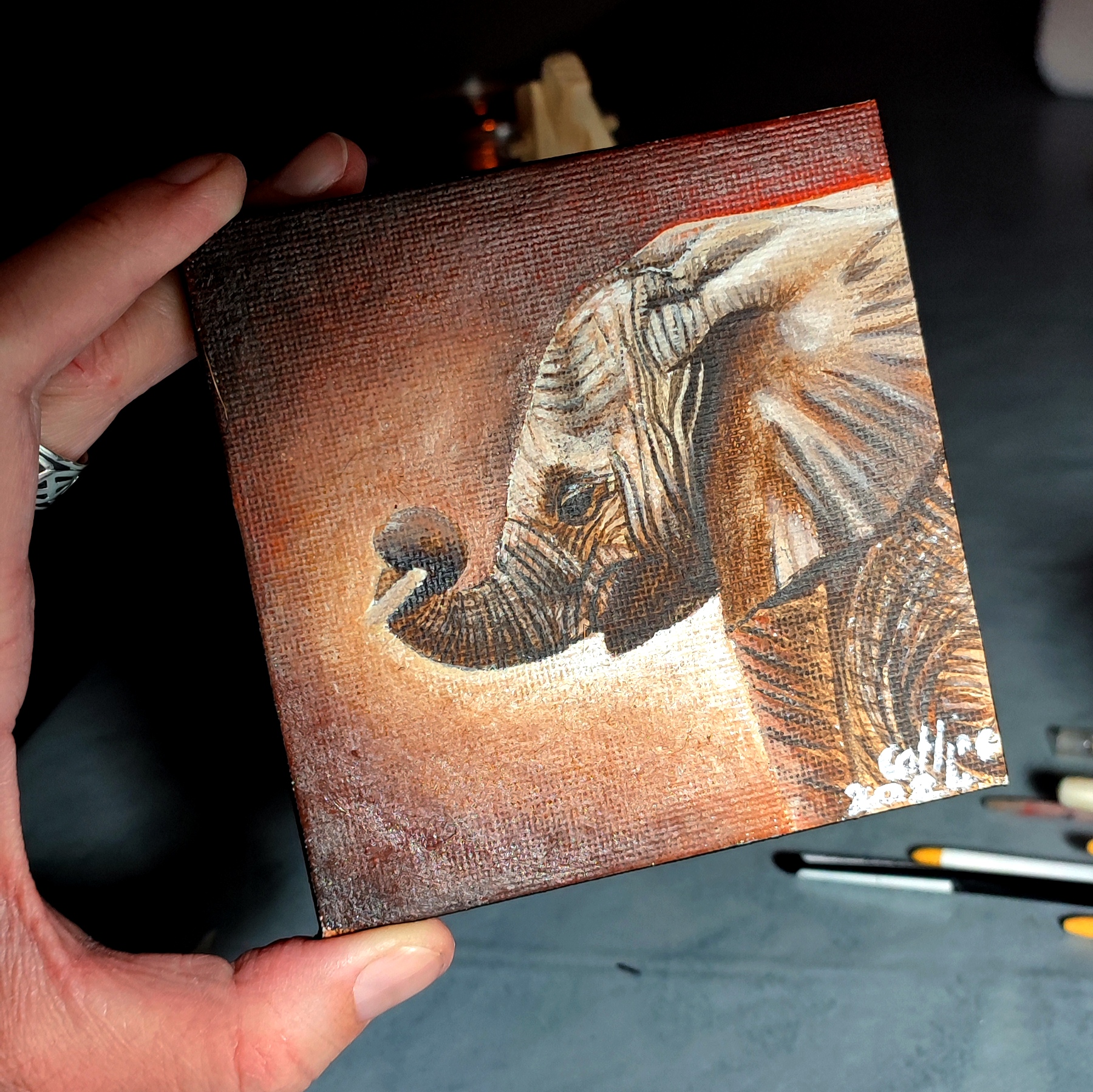 Mini toile 10X10cm bébé éléphant d'Afrique du Sud II 