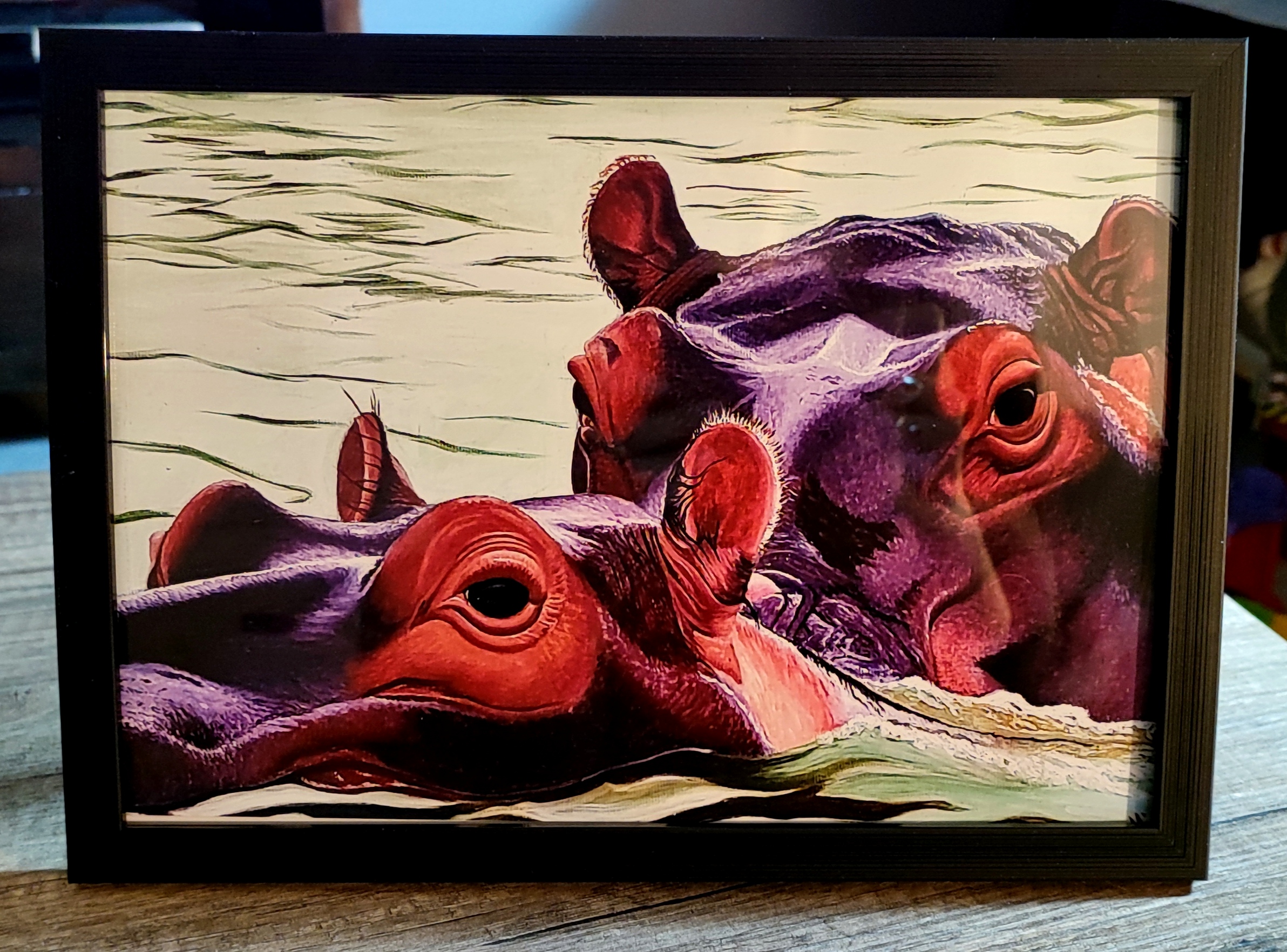 Reproduction encadrée de la toile originale Hippopotames d'Afrique du Sud 20X30cm
