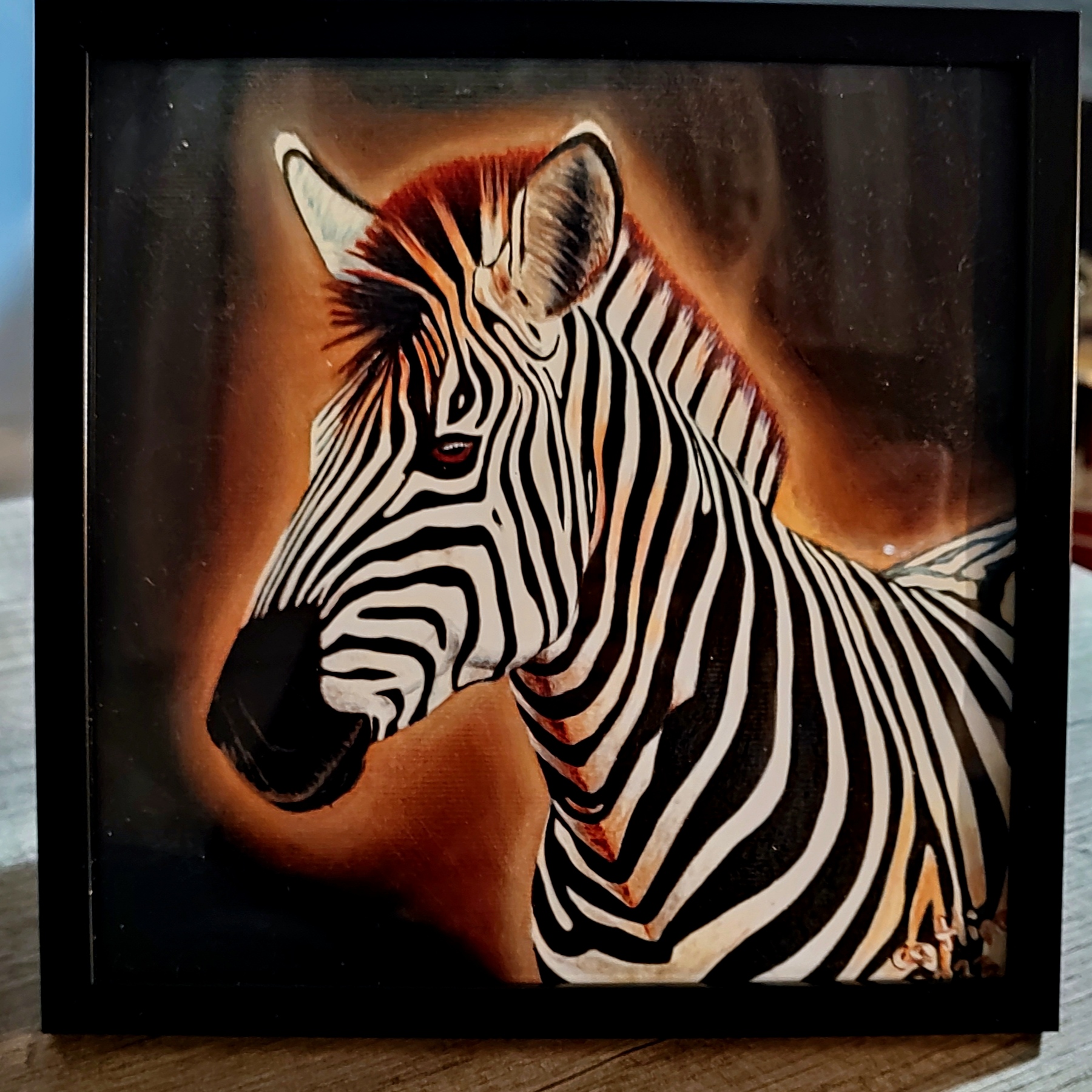 Reproduction encadrée d'après la toile originale " Zèbre d'Afrique du Sud" 20X20cm