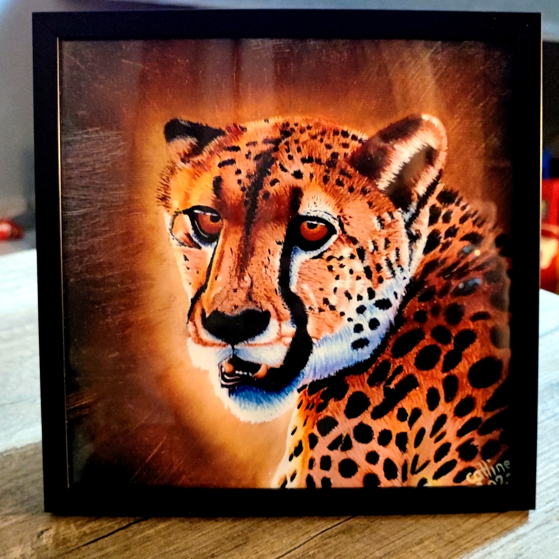 Reproduction encadrée d'après la toile originale "Guépard d'Afrique du Sud II" 20X20cm