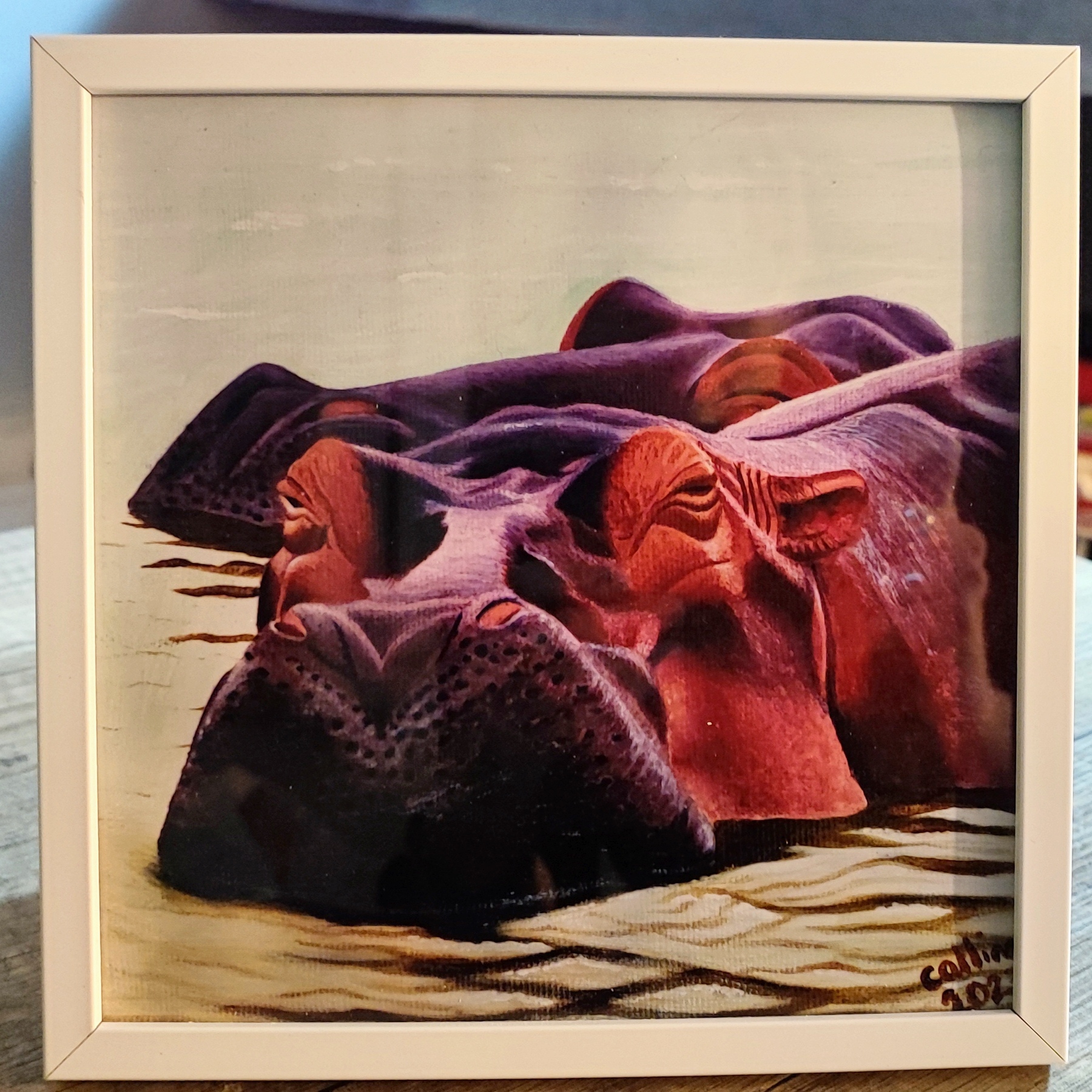 Reproduction encadrée d'après la toile originale "Hippopotames de ste Lucia III" 20X20CM"