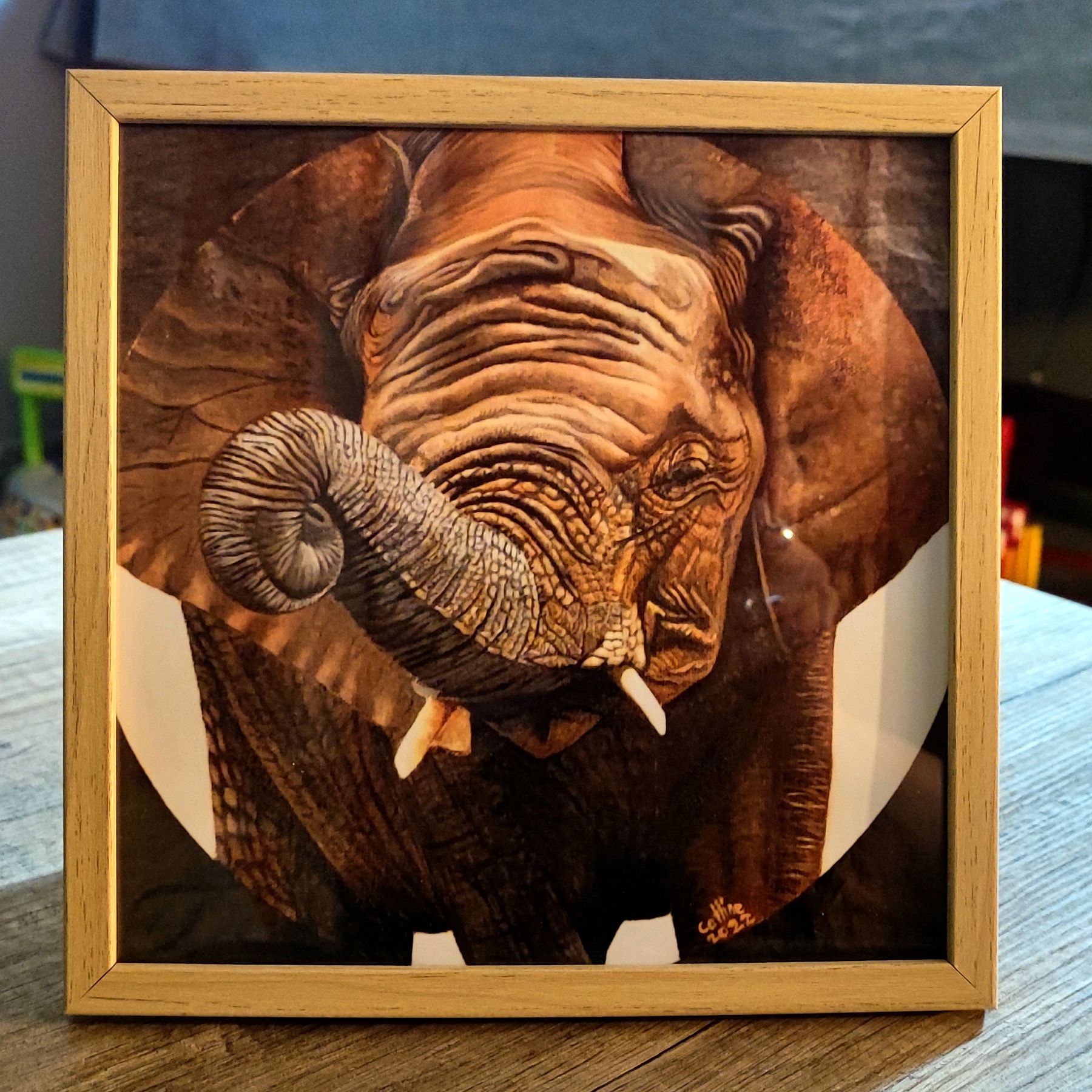 Reproduction encadrée d'après la toile originale "Éléphant d'Afrique du Sud II"