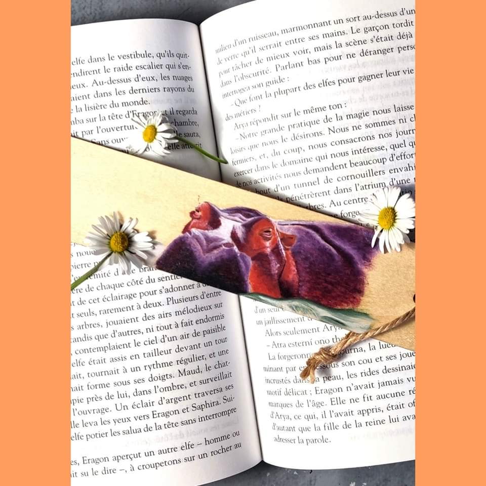 Marque page l'hippopotame de ste Lucia 