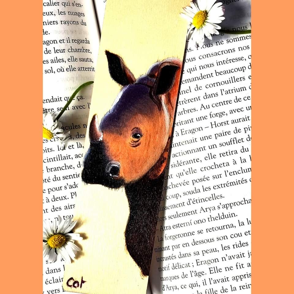 Marque page le Rhinocéros d'Afrique du Sud 