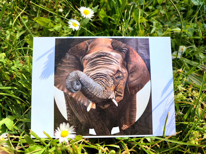 Carte postale d'après la toile "Éléphant toile ronde "