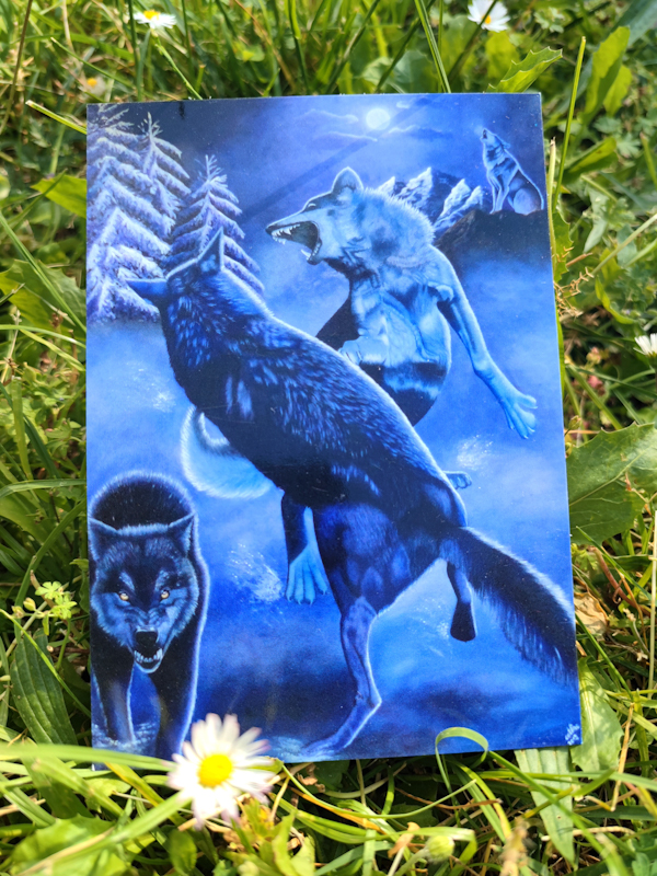 Carte postale d'après la toile originale "Les Loups"