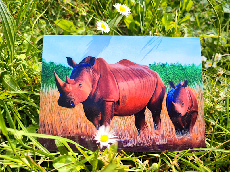 Carte postale d'après la toile originale "Rhinocéros et son bébé"