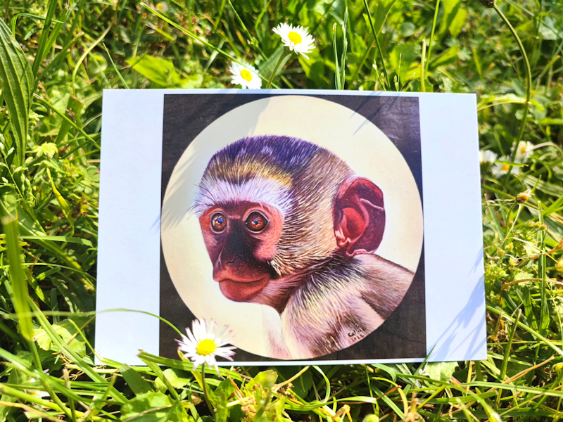 Carte postale d'après la toile originale "Singe vervet bleu sur toile ronde "