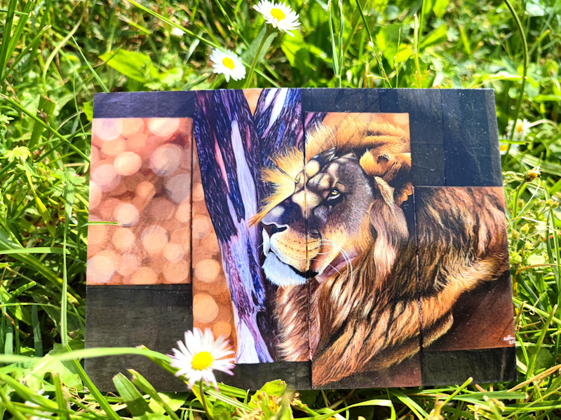 Carte postale d'après la toile originale "Lion d'Afrique du Sud polyptyque"