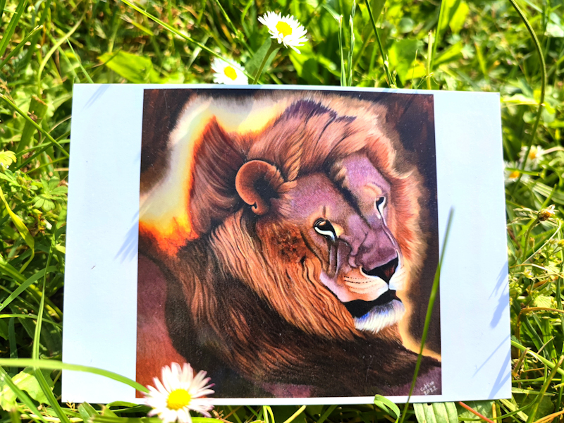 Carte postale d'après la toile originale "Lion d'Afrique du Sud II"