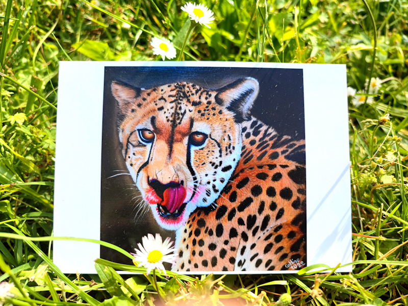 Carte postale d'après la toile originale" Guépard d'Afrique du Sud"