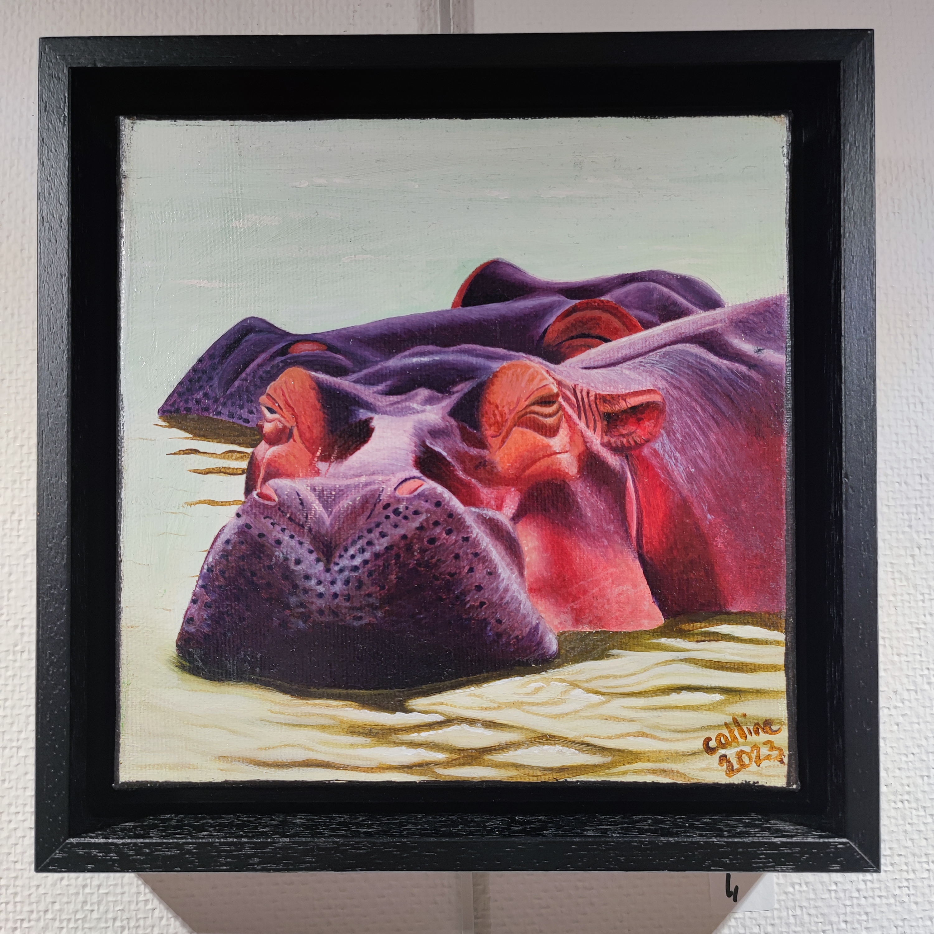 Hippopotames de ste Lucia III 20x20 cm