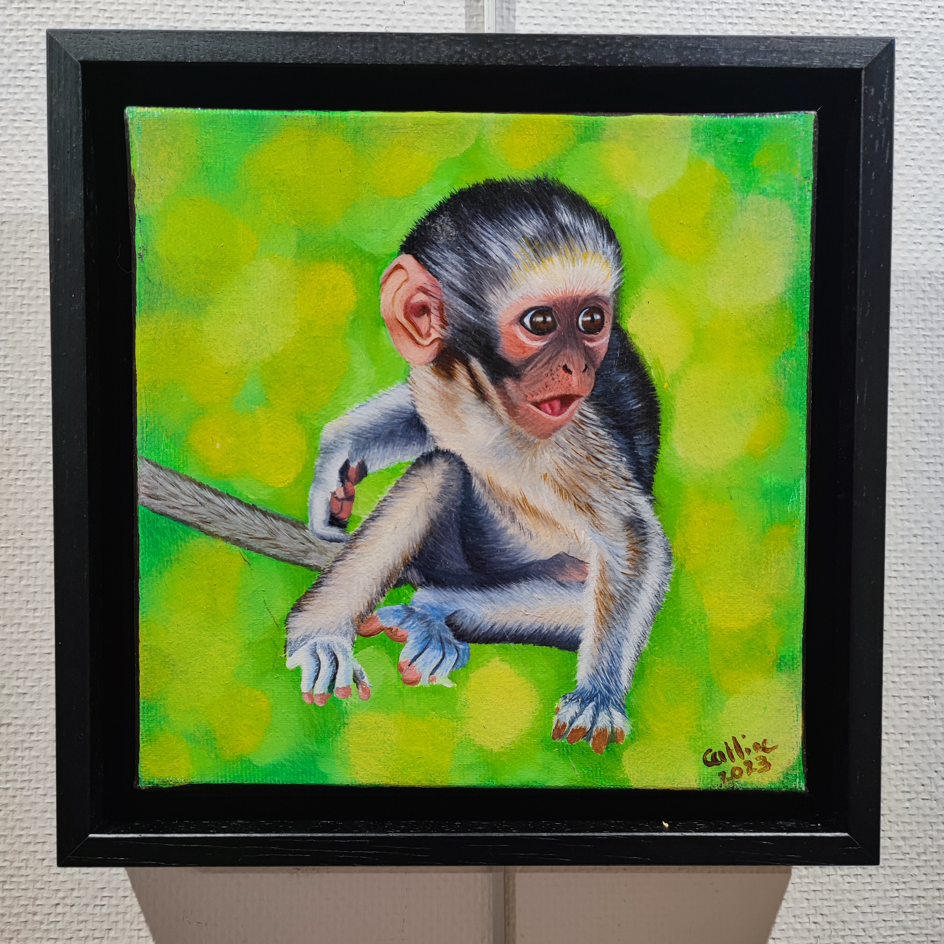 Singe Vervet Bleu II 20X20 CM