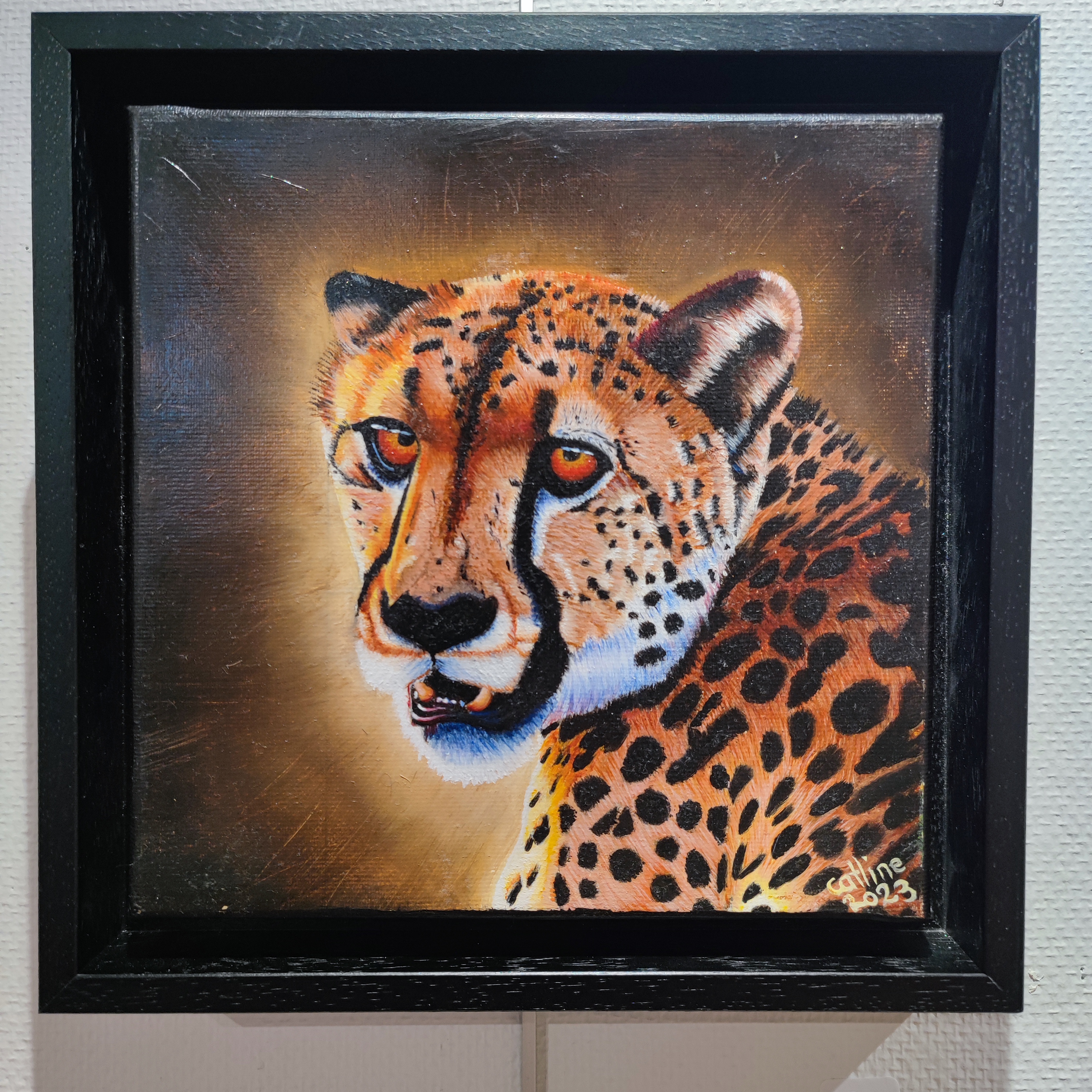 Guepard d'Afrique du sud 20X20 cm