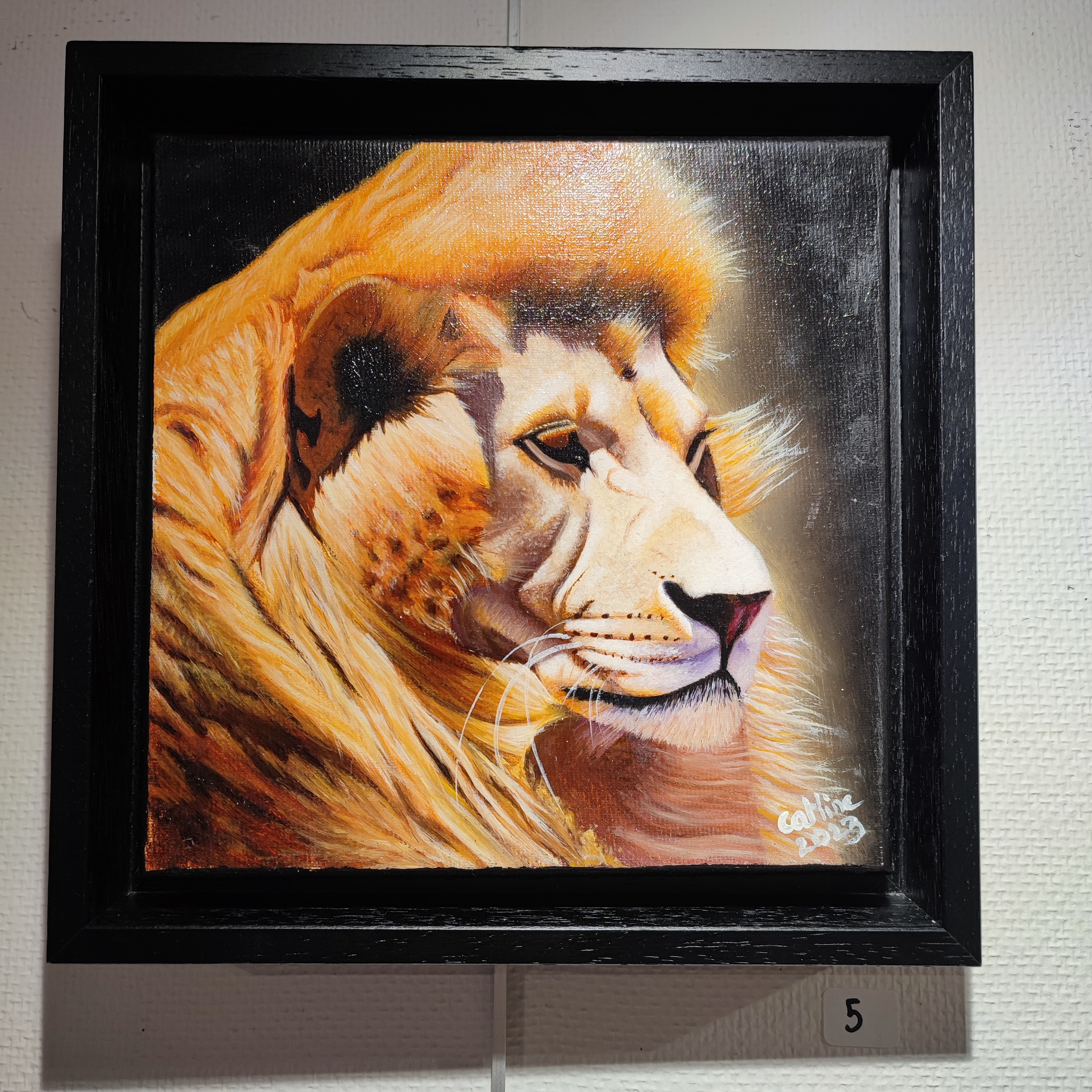 Lion d'Afrique du Sud III 20X20 cm