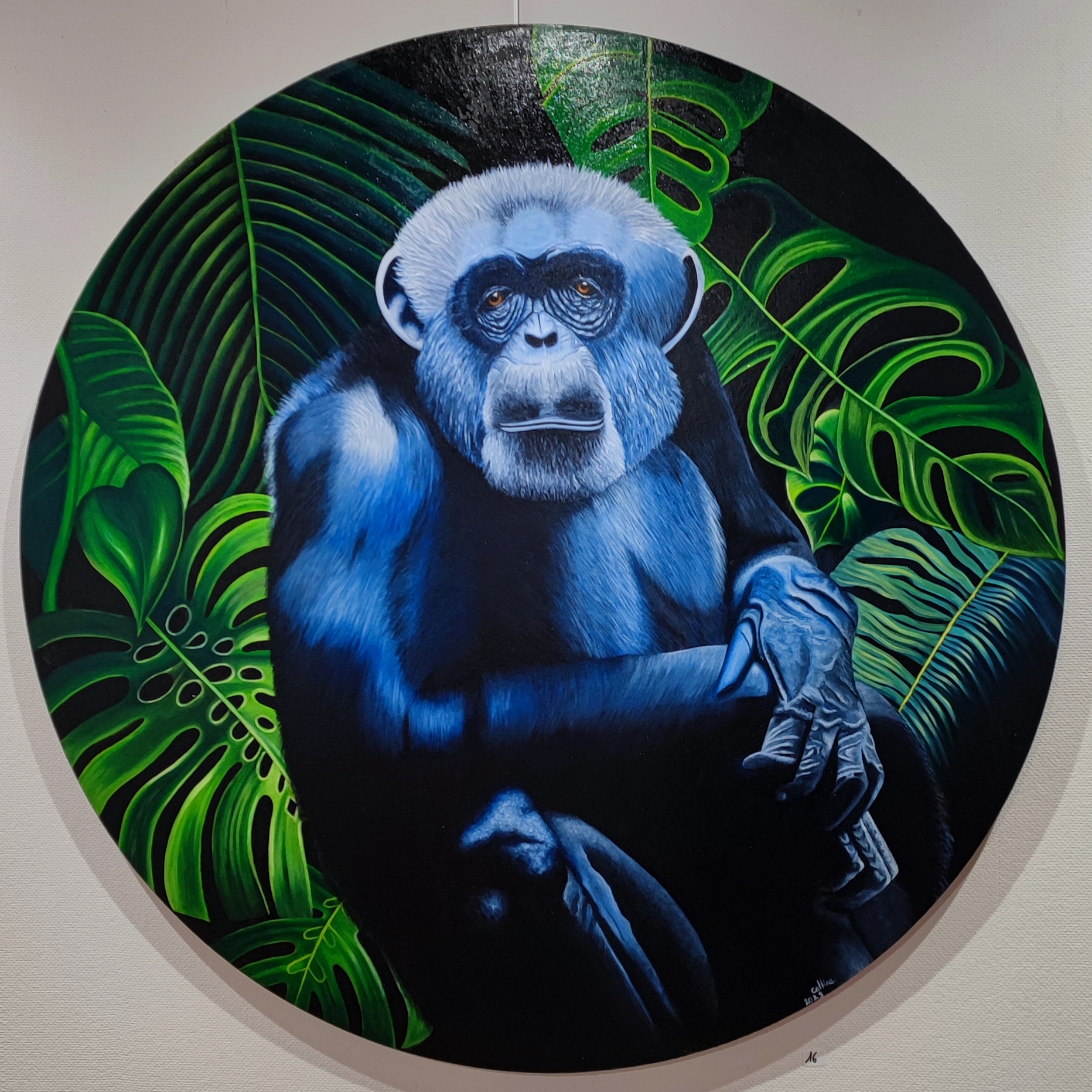 " Sabius" toile ronde 100 cm