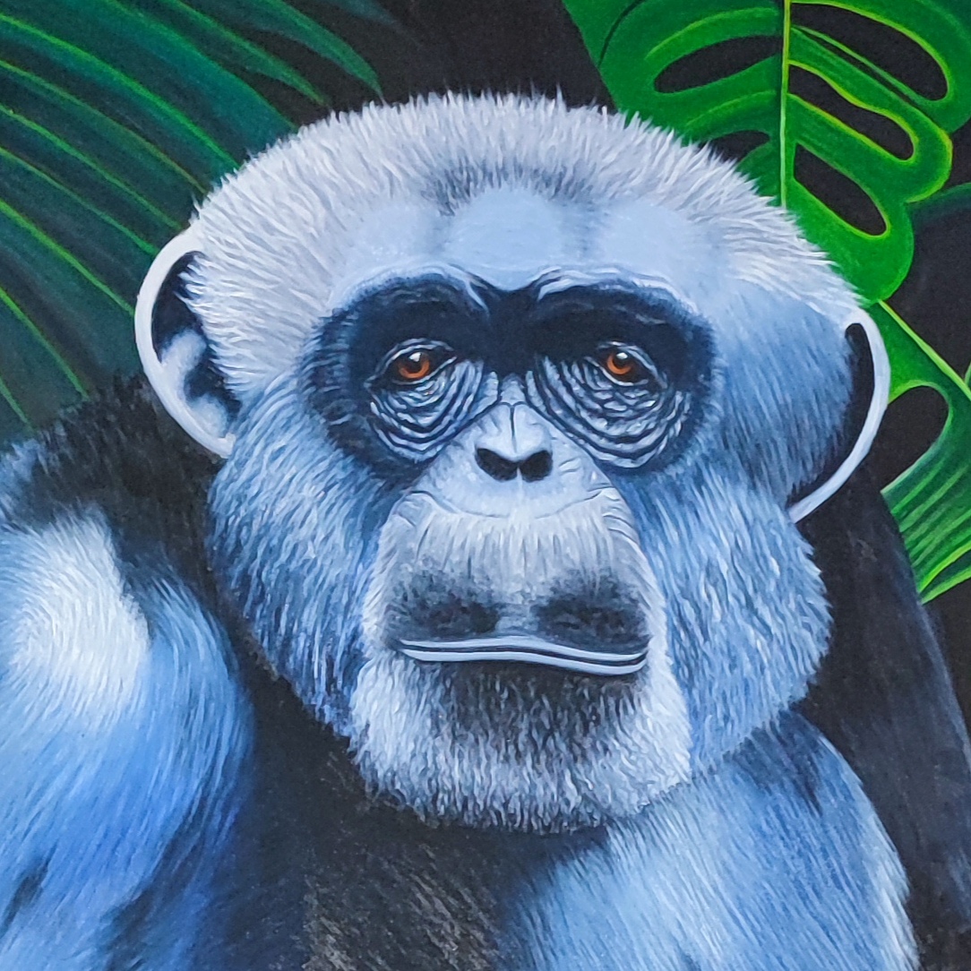 " Sabius" toile ronde 100 cm