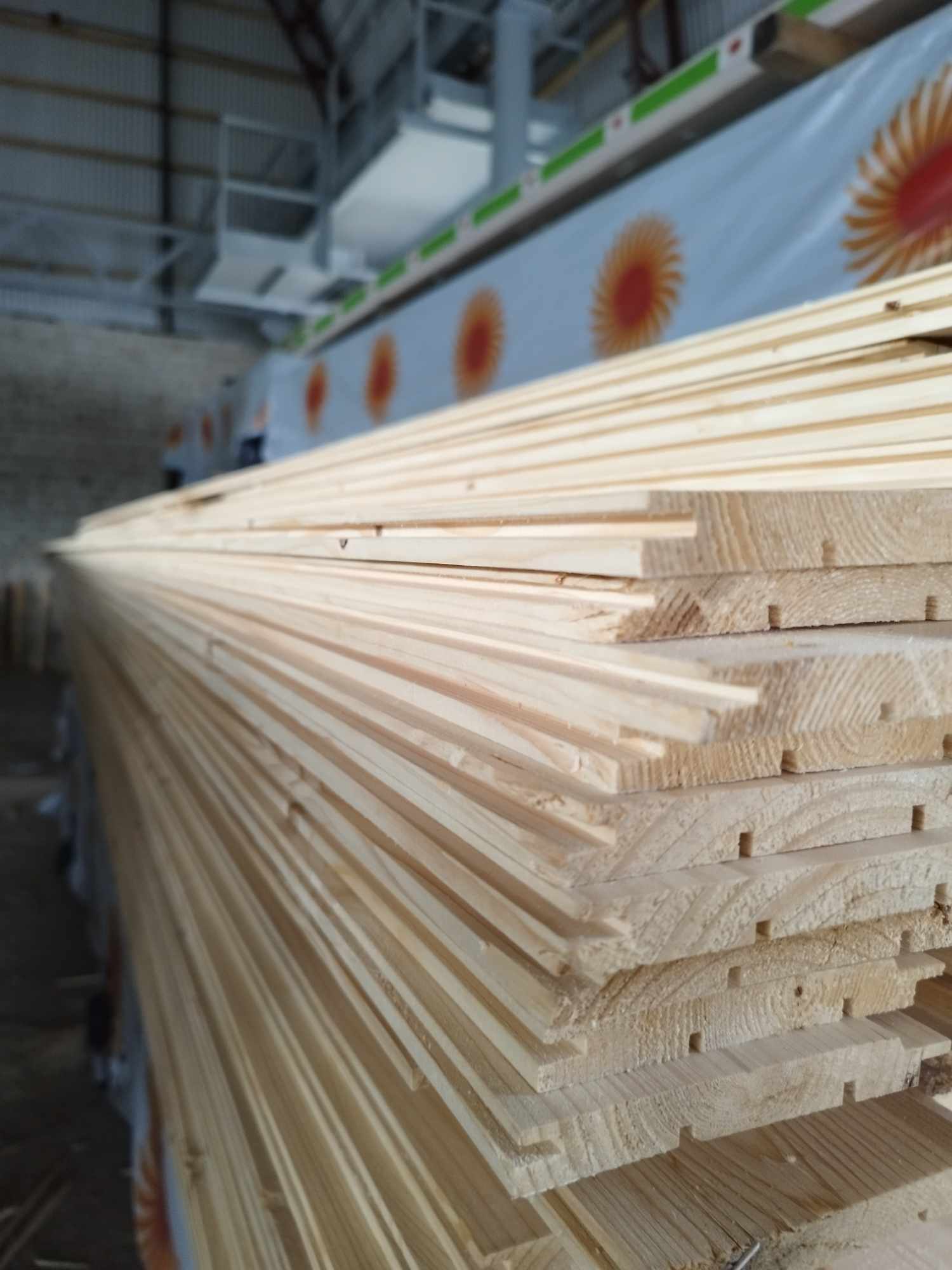 14x120x4800 mm, Dailylente, C rūšis