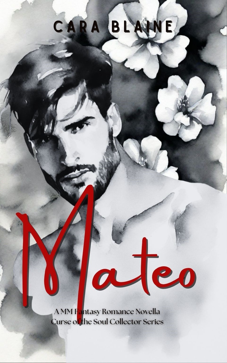 Mateo: A MM Romance Ebook