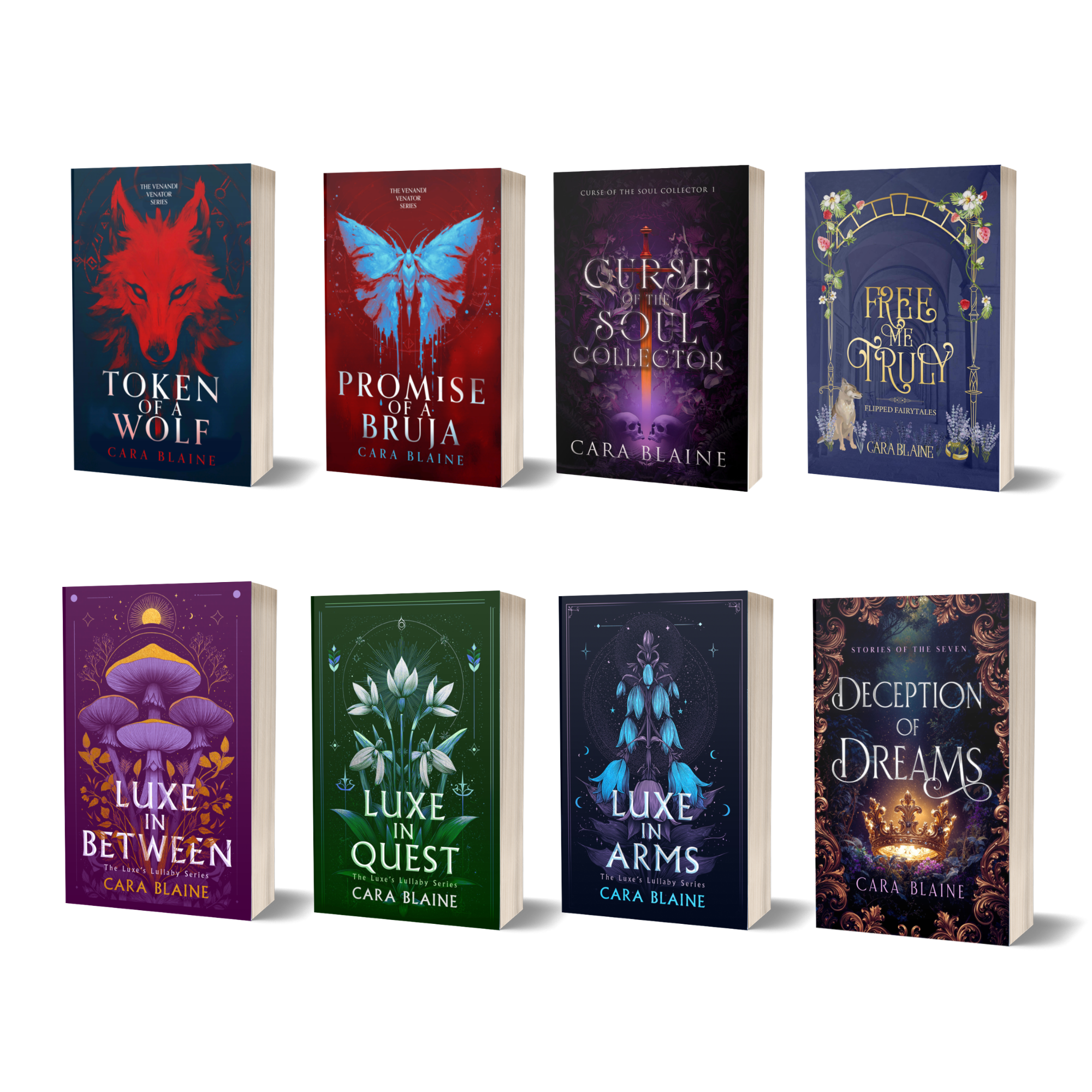 Paperback Book Bundle