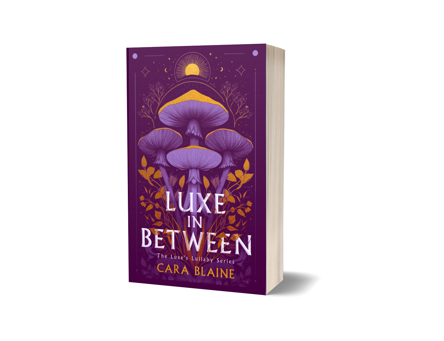 Luxe in Between Paperback
