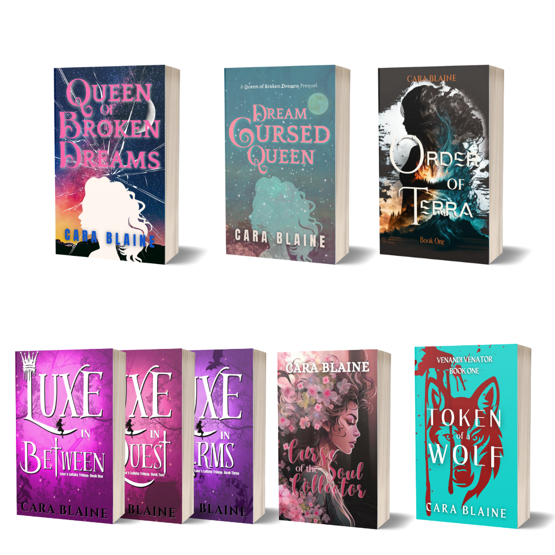 Paperback Book Bundle