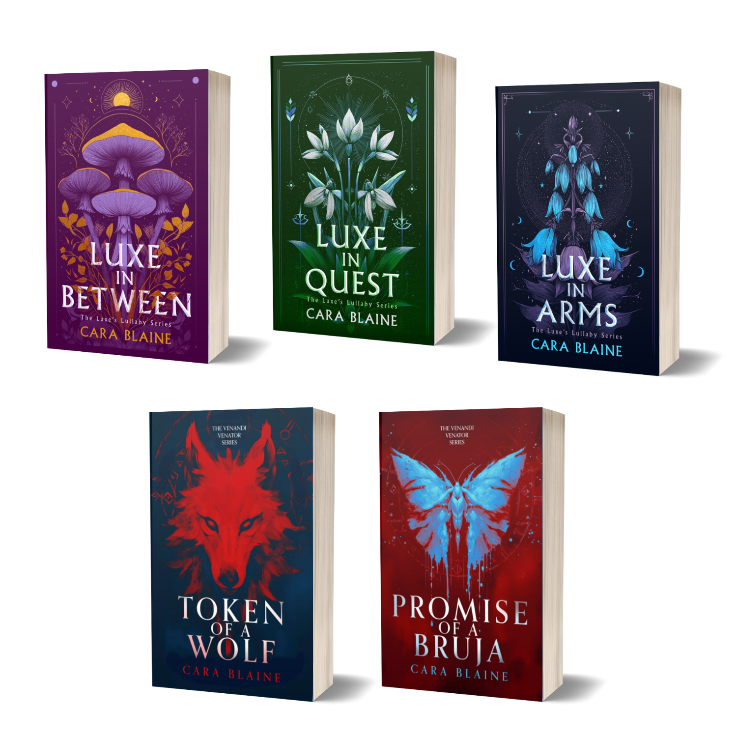 Duology & Trilogy Bundle