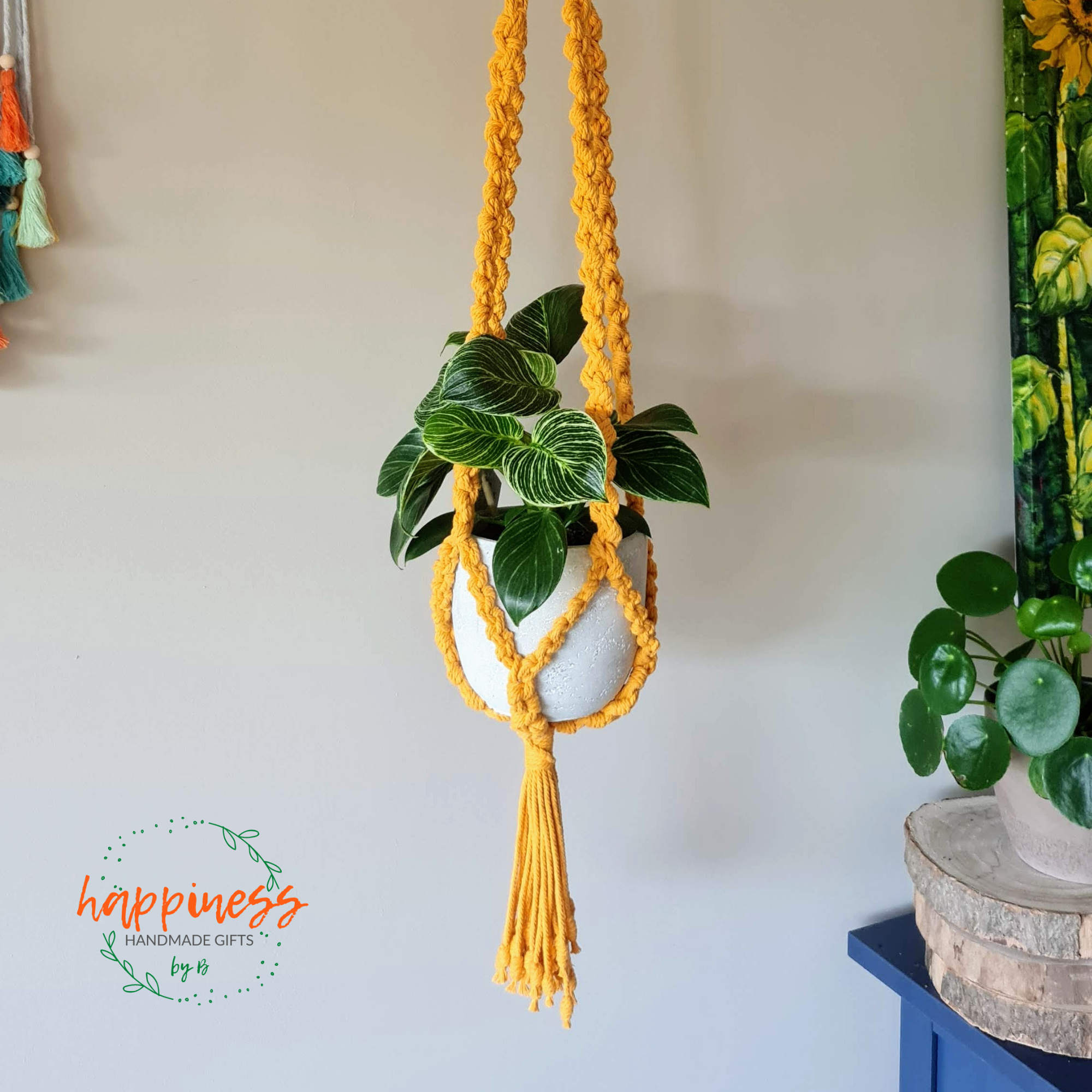 Macrame Plant Hanger Pattern