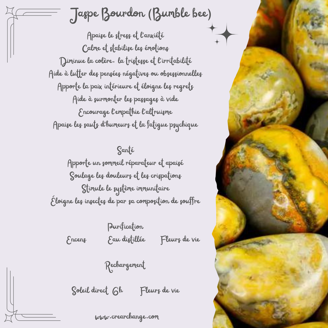 Jaspe Bumble bee (bourdon)