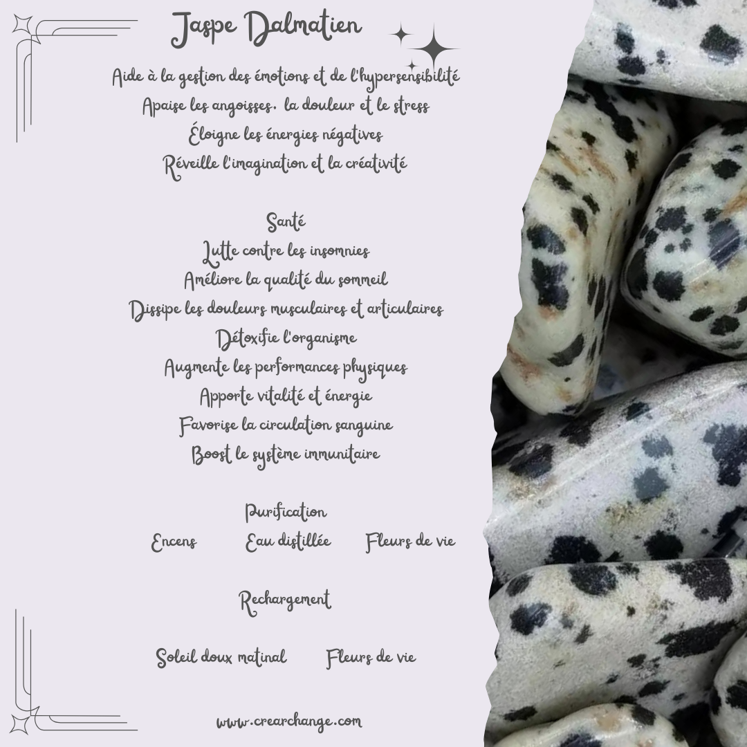 Jaspe Dalmatien