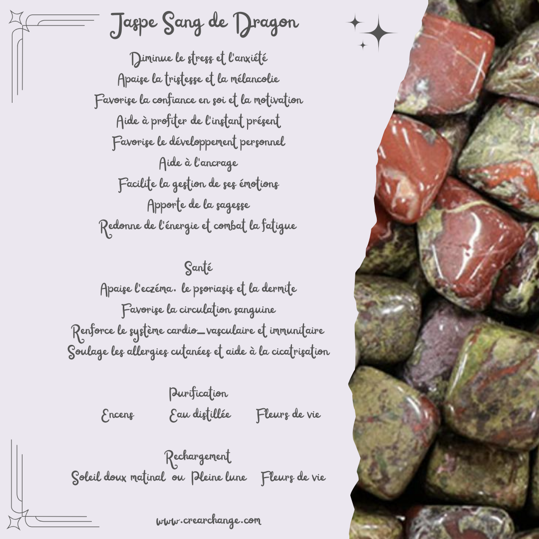 Jaspe Sang de Dragon