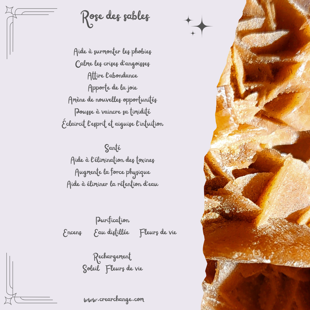 Rose des sables