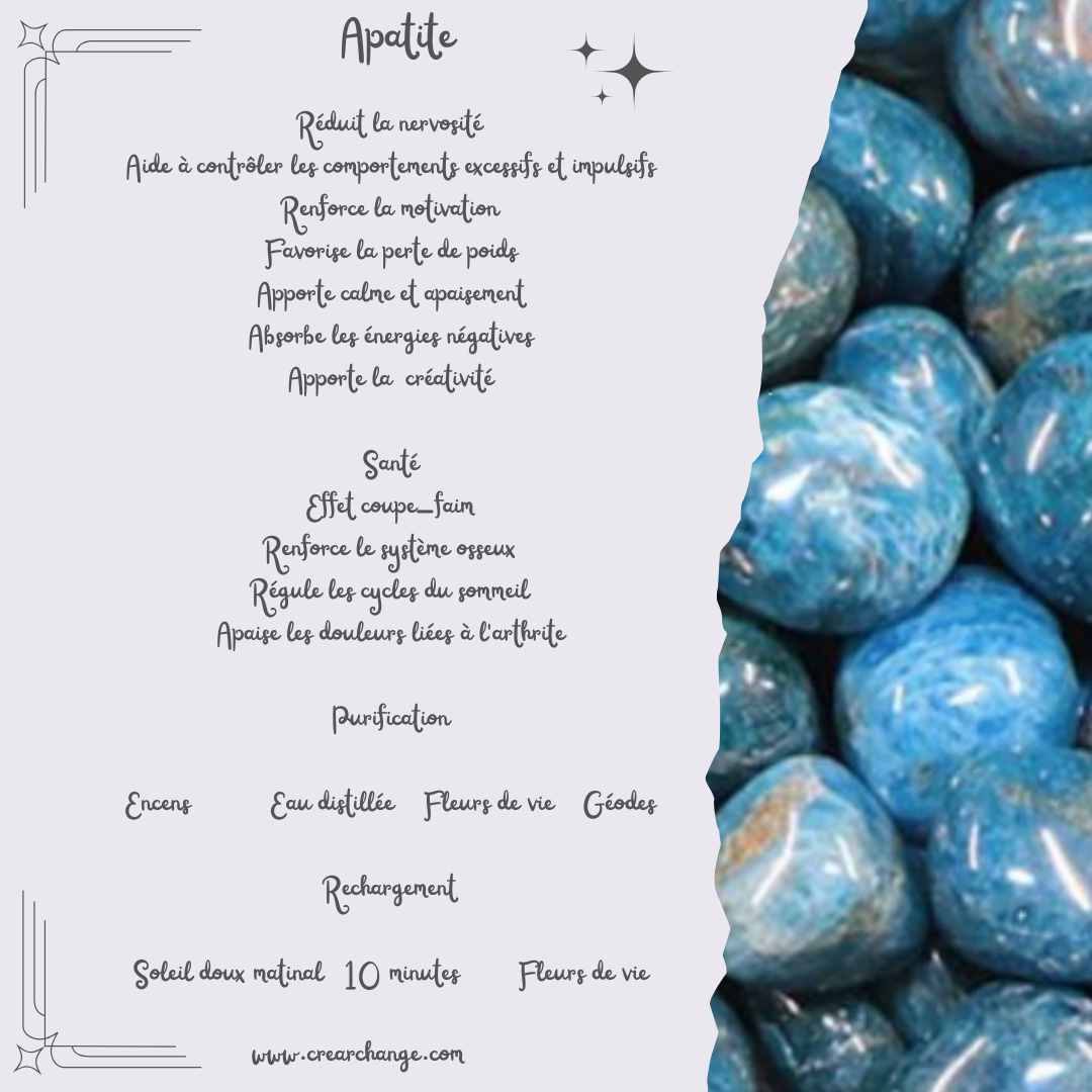 Bracelet Apatite et Howlite 