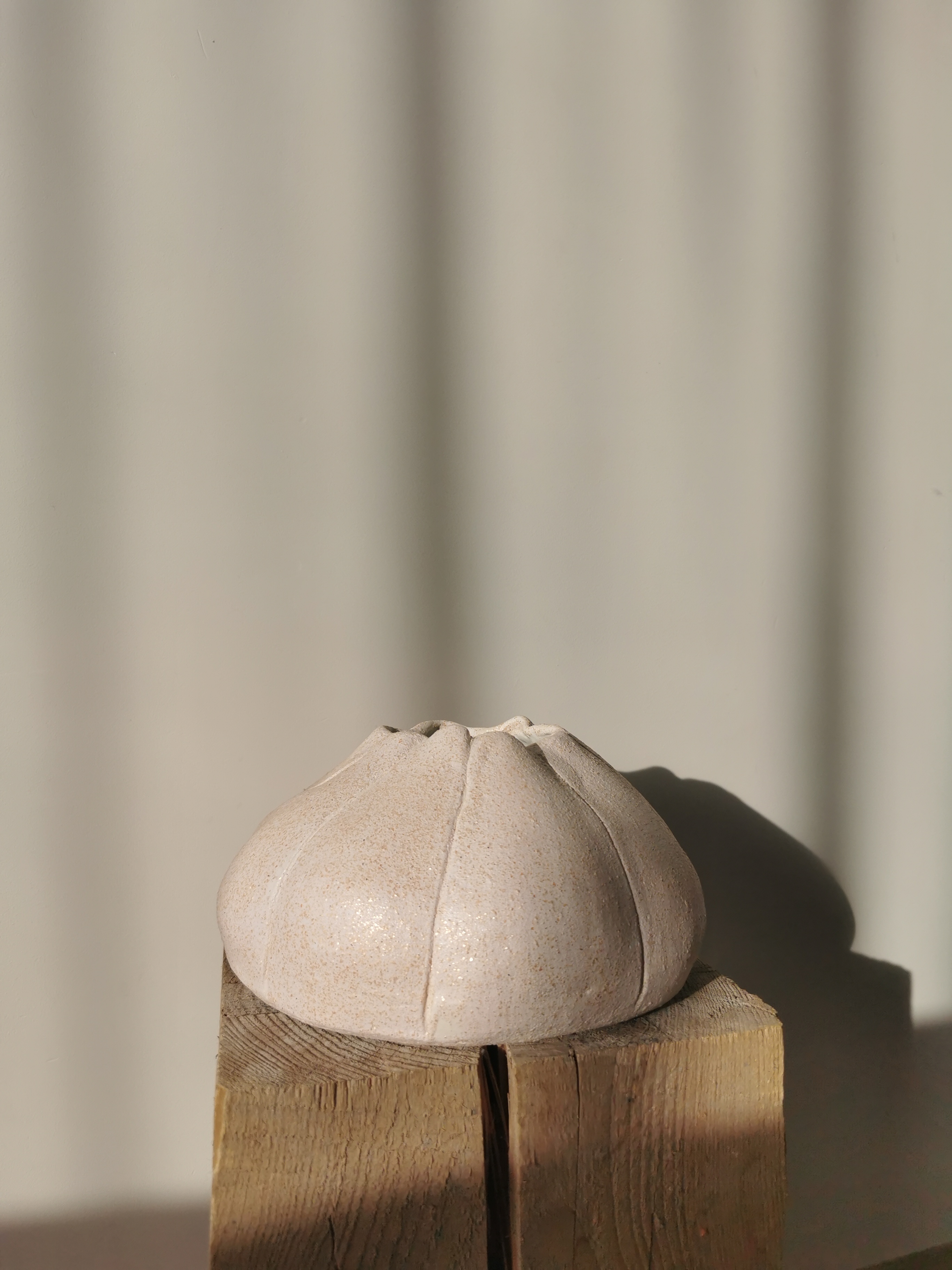 Keramikos užsiėmimai 18.02 ir 25.02.2026