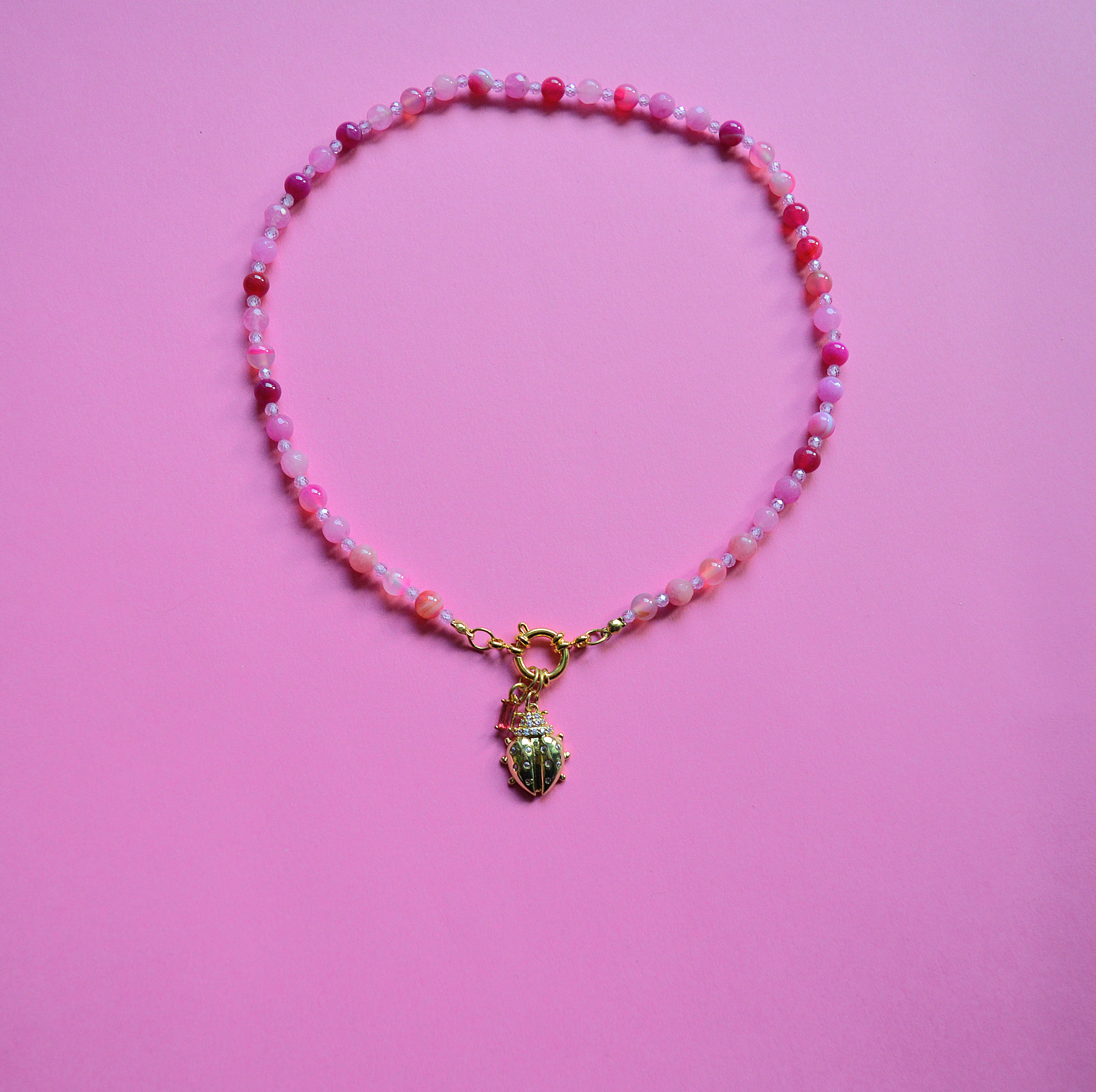 "LADYBUG"