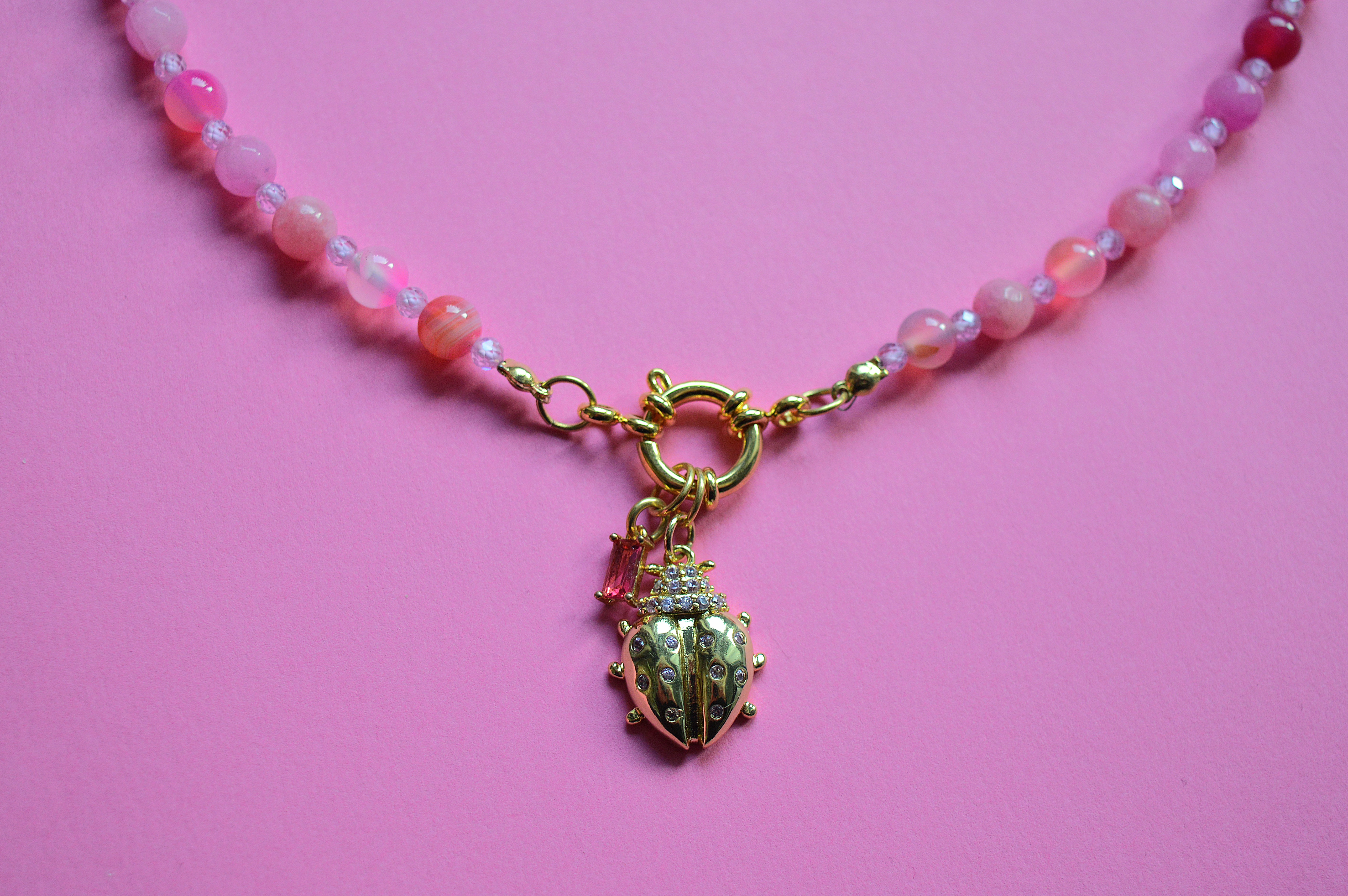 "LADYBUG"