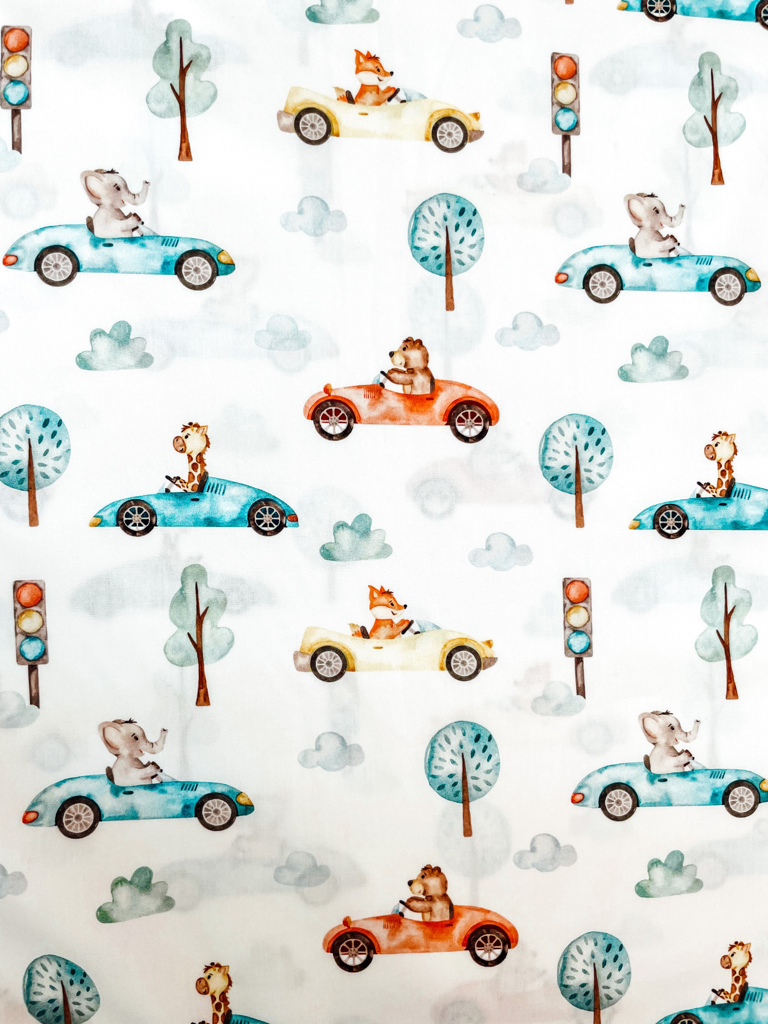 Poplinas "Animals and cars"