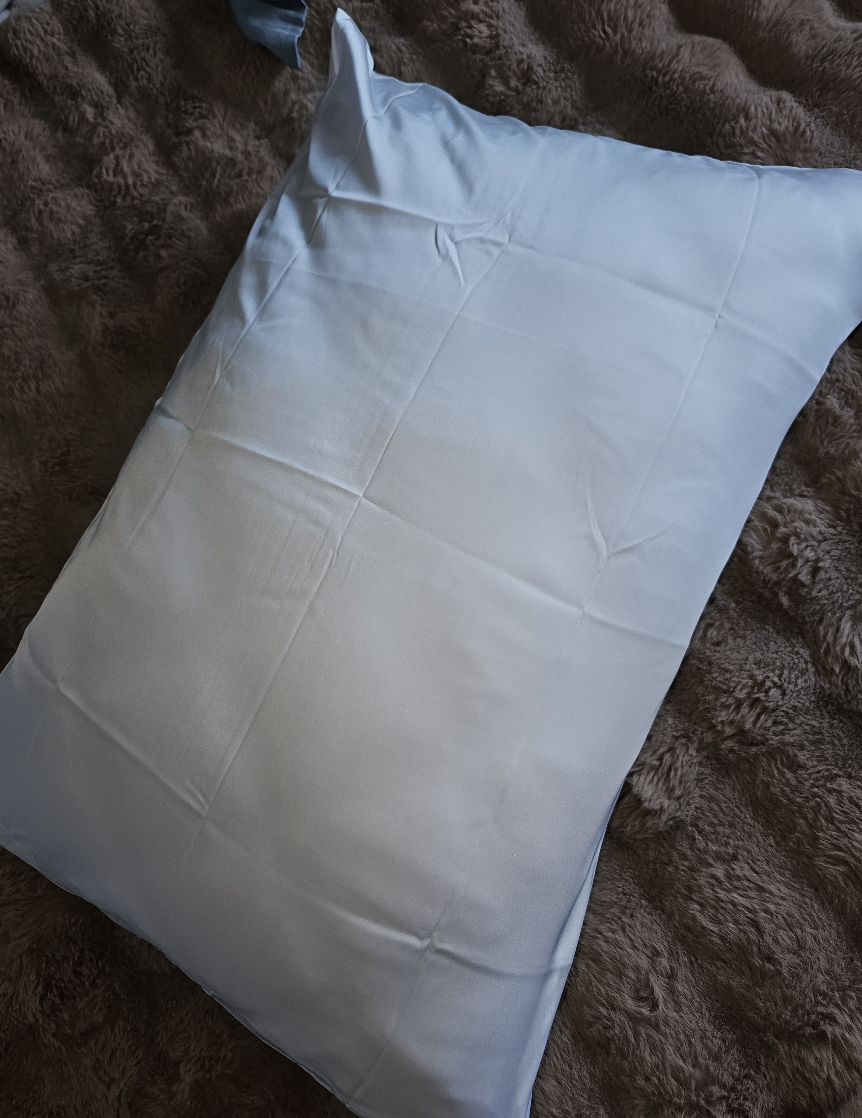 Šilko pagalvės užvalkalas - pieno balta