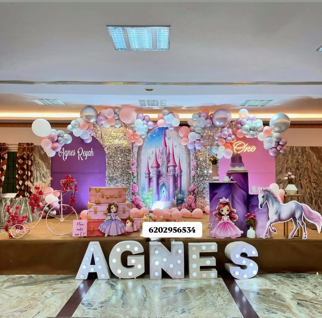 Princess Theme Decor👑