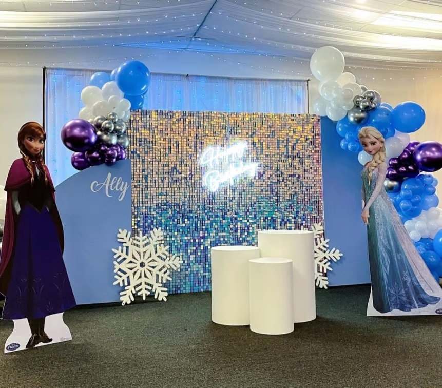 FROZEN THEME DECORATION