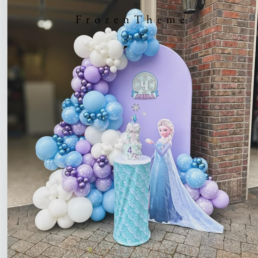 FROZEN THEME DECORATION